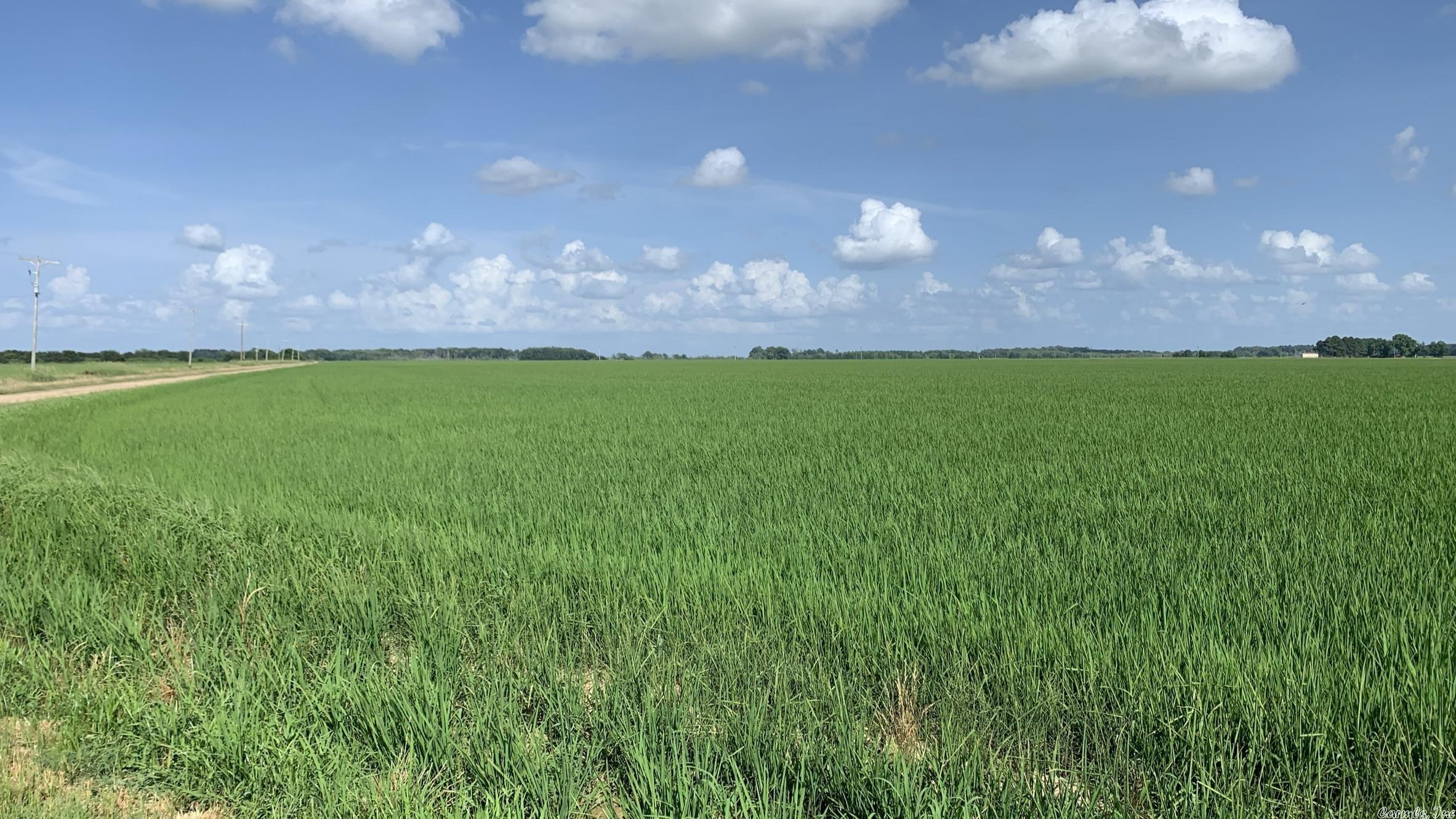 Not in Subdivision - Farm