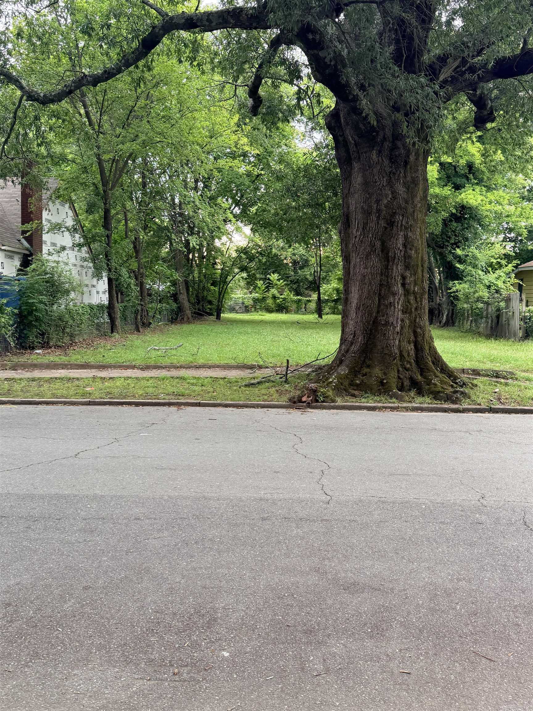 Great lot with a beautiful tree out front. Perfect lot to build your home on.