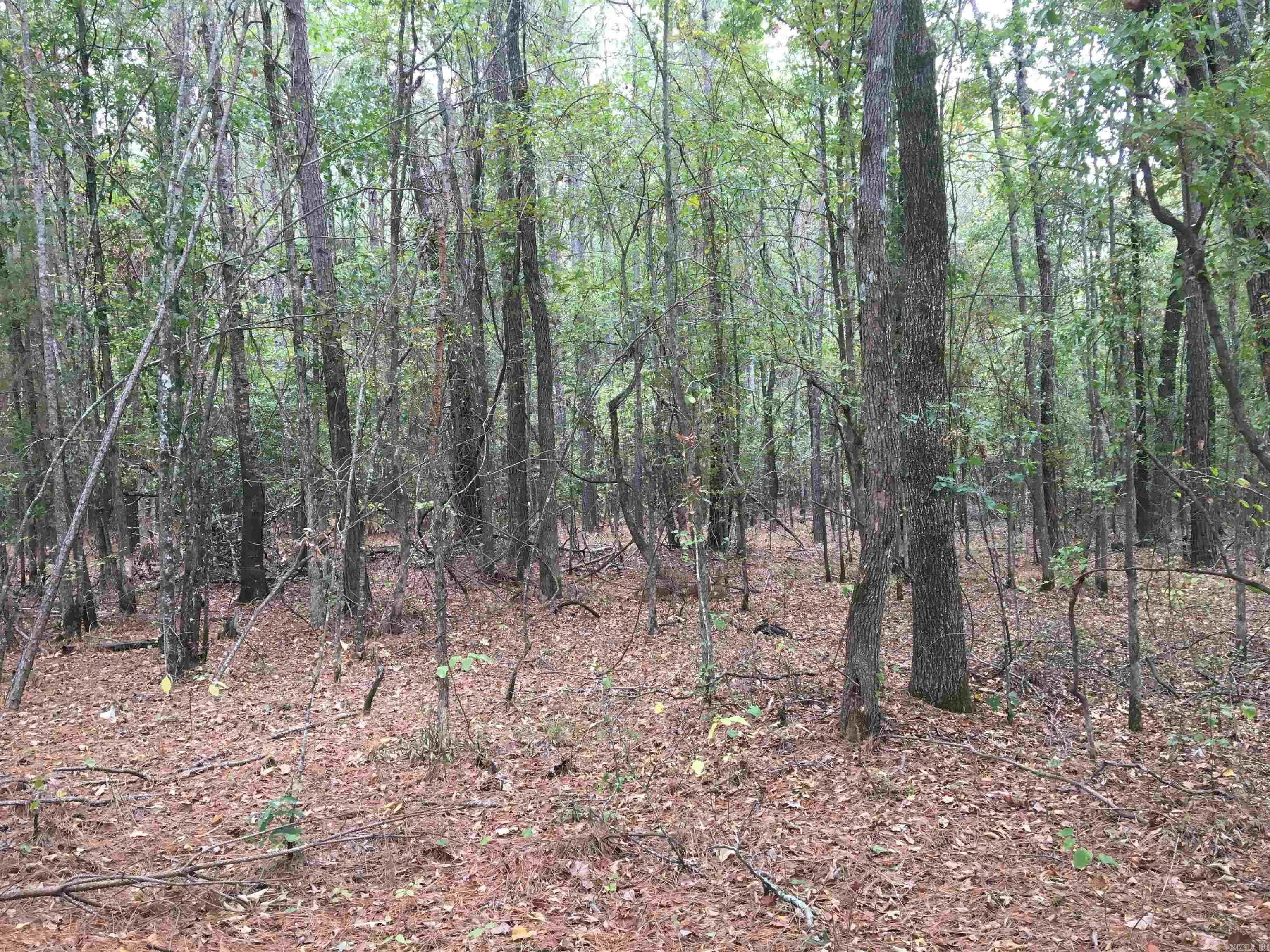 Not in Subdivision - Land