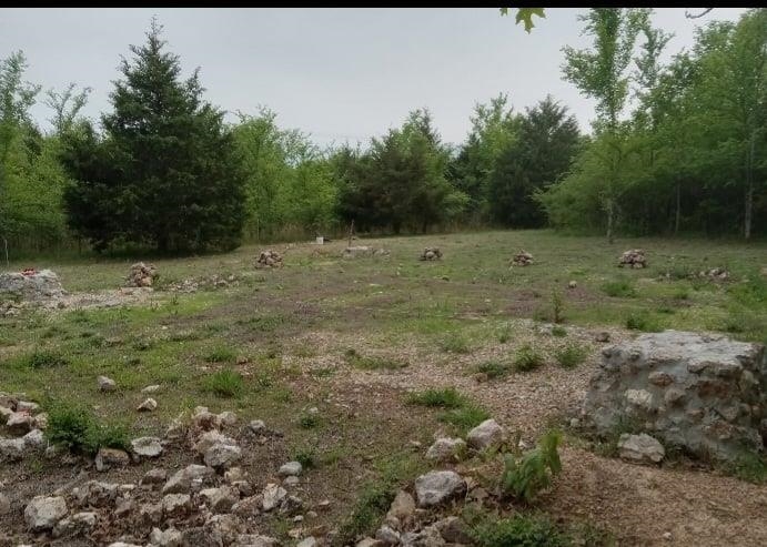 Looking for some land in a private area, no restrictions, and easy to build on? Your search ends here. Whether your dream is to build a small cabin for weekend get aways, to have year round hunting access, or a property to build your dream home, this lot has it all. It is a level lot located on secluded 9 Mile Ridge Road and offers the perfect amount of privacy and natural beauty. This lot is well fertilized perfect for growing gardens or plants. It is home to several dozen Plum, Persimmon, and large cedar trees, attracting plenty of wildlife. A new culvert and gate were built providing access directly to the road. Conveniently located a short drive to Myatt Creek and Spring River, allowing plenty of water activities such as fishing, floating, and swimming. Don't miss this gem. Take your chance and invest in your dream!  Camper does not convey, utilities available at the road.