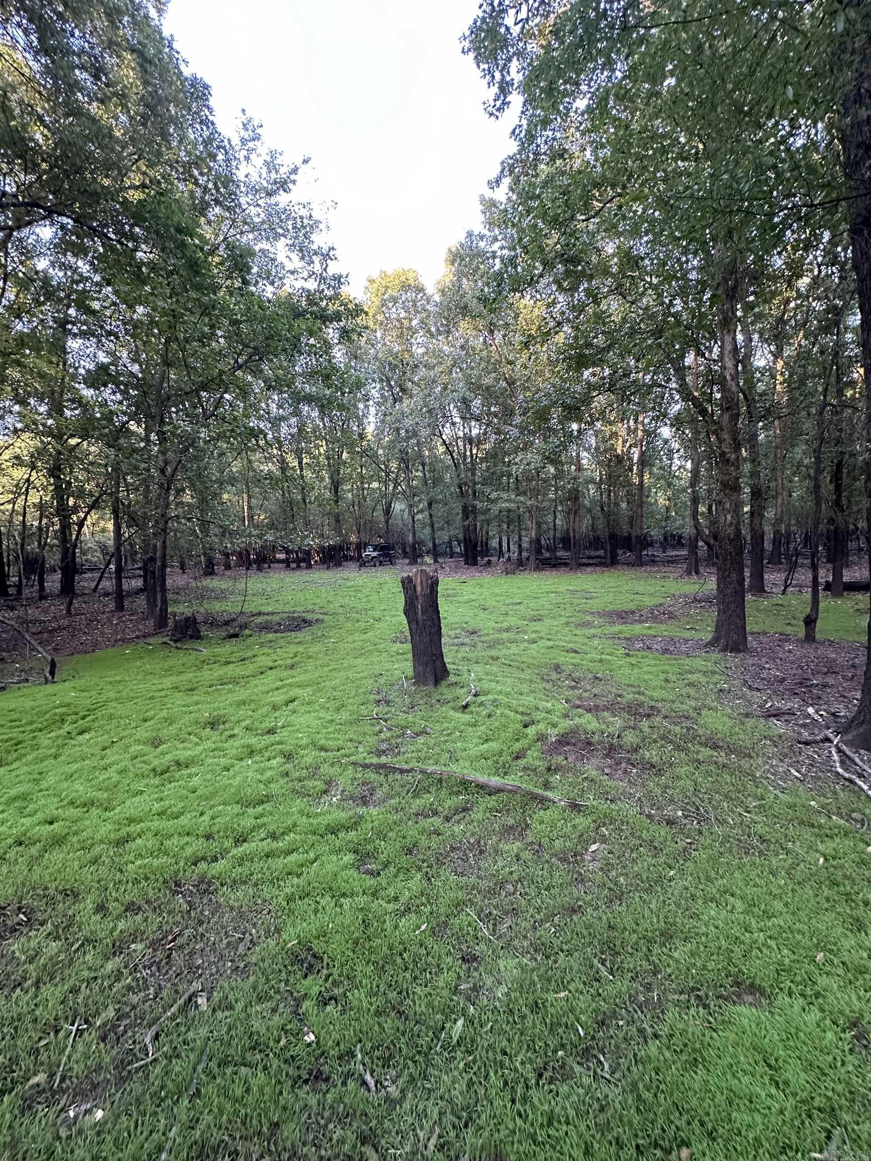 Not in Subdivision - Land