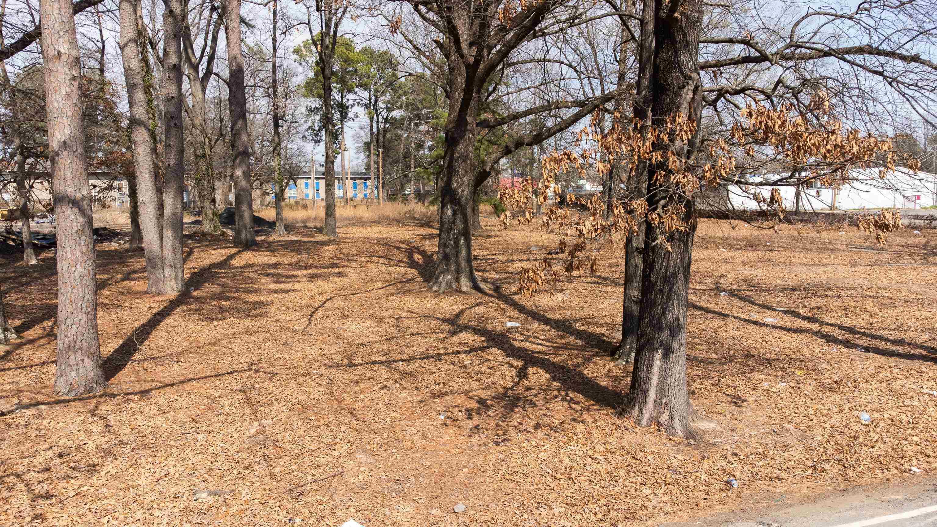 Homes Acres - Commercial Sale