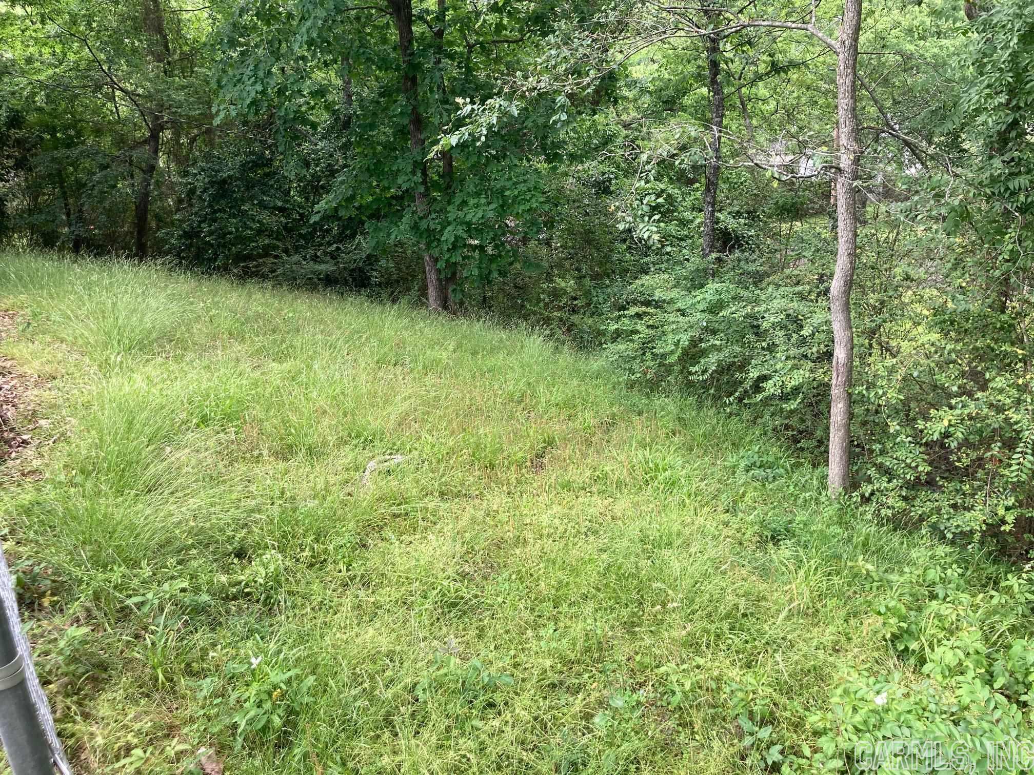 This will be a fun project! Build your house in the trees on this empty lot northwest of the intersection of Martin St. and 6th, near UAMS. The lot slopes down toward the viaduct and is mostly tree-covered. Very private. Lot is accessible via Martin north of 6th, and is behind the house that faces 6th St., just west of Martin and 6th. The land west of the lot (and the house in front of it) is designated as an alley by the City, and is another potential access point. See the County's map image for an overview of its location. BE CAREFUL! Lot is steep. Tree roots and other hazards may be present. Enter at your own risk. No sign. Be sure to do your due diligence for any restrictions or challenges to building on this lot.