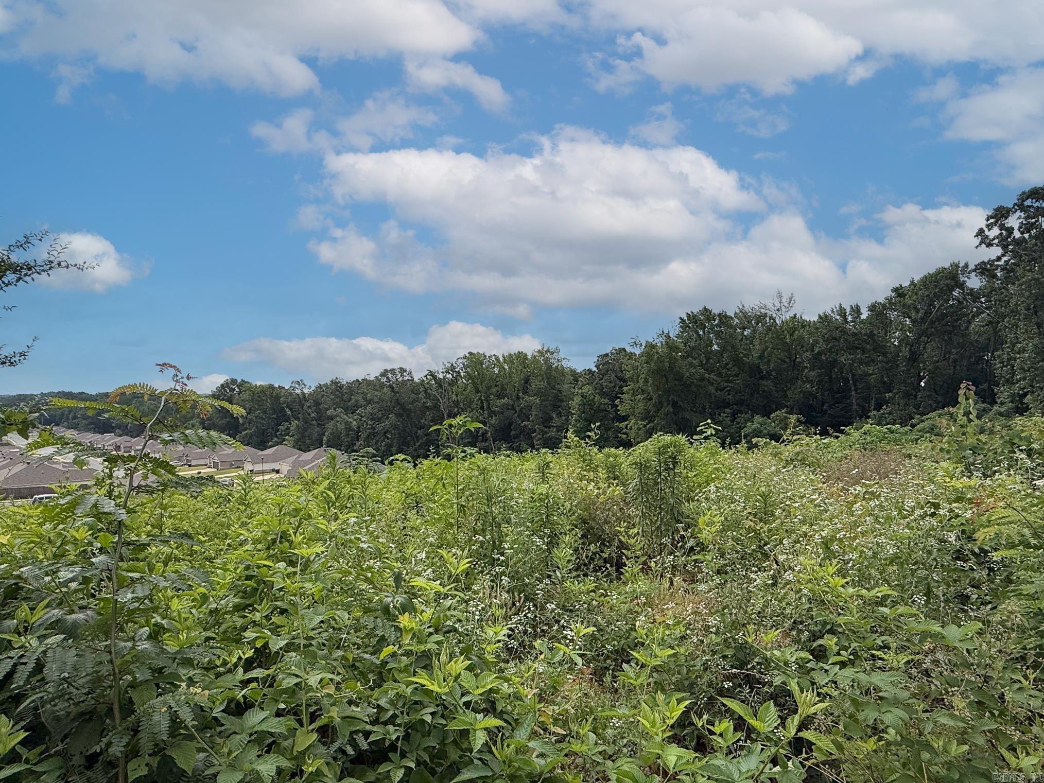 OAKLAND GROVE ESTATES - Land