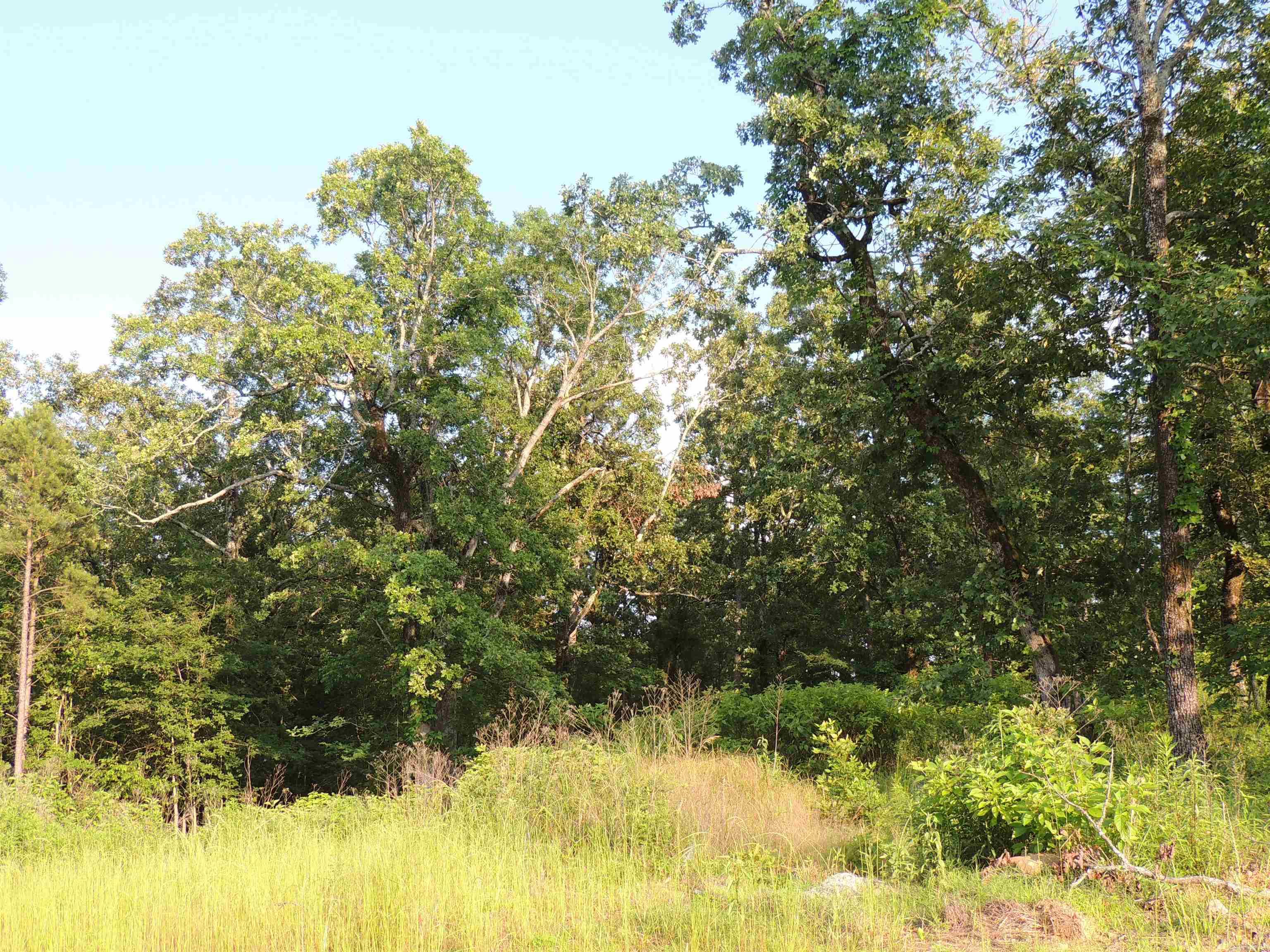 MOUNTAIN CREST ESTATES - Land