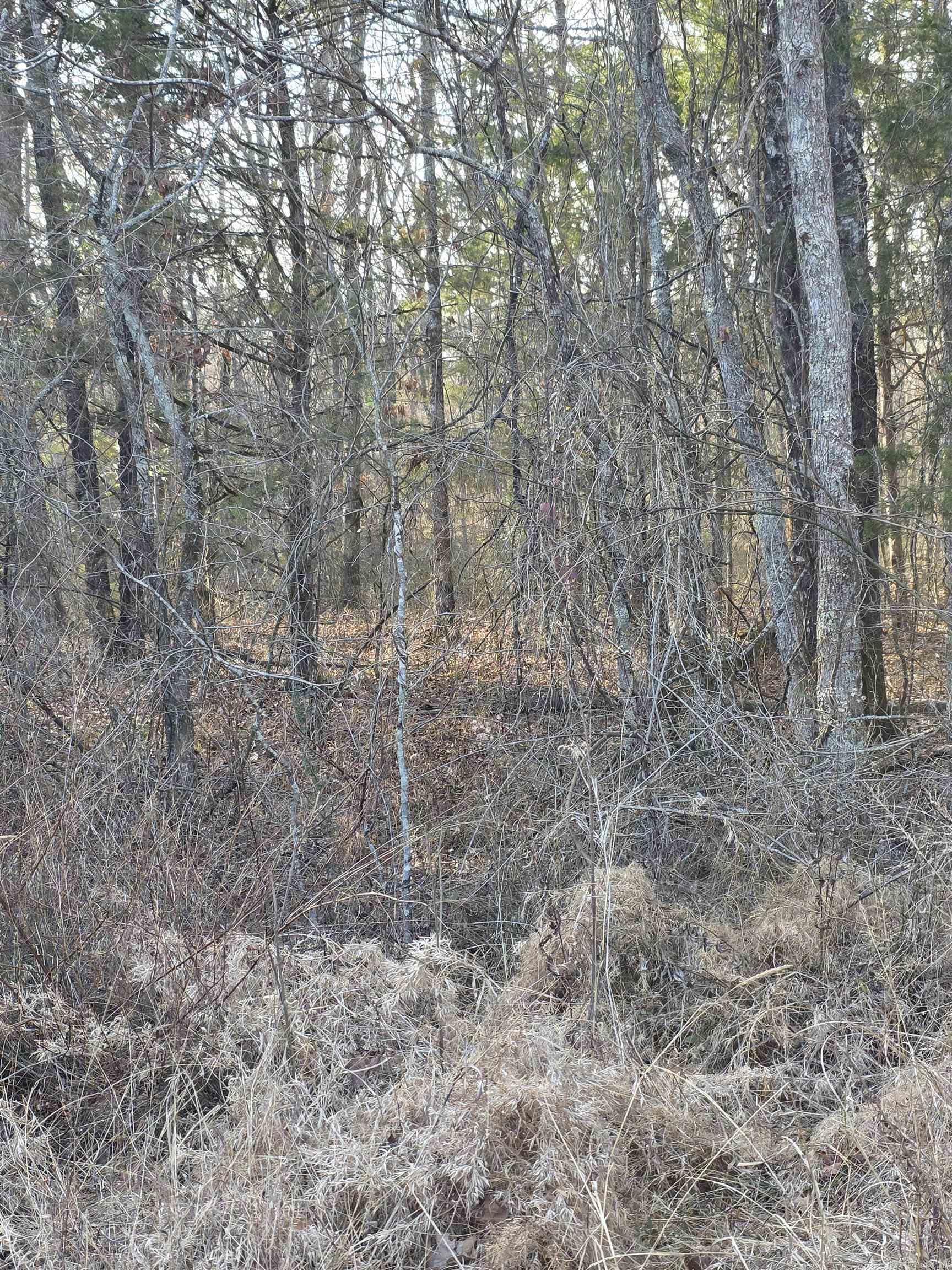 Shady Grove - Land