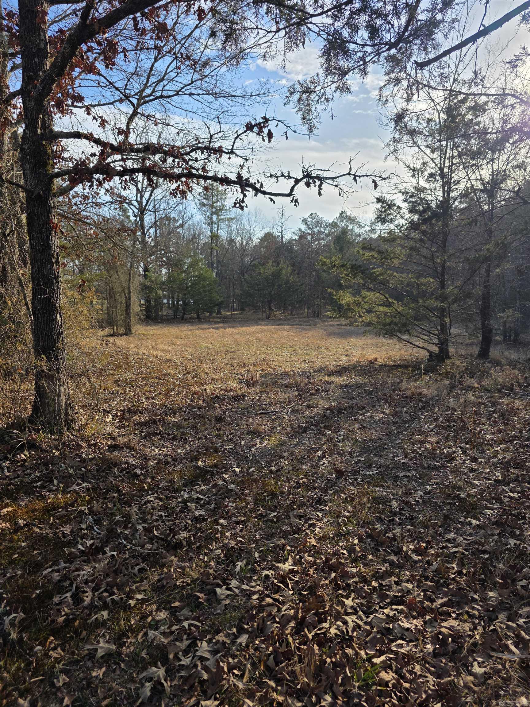 Shady Grove - Land