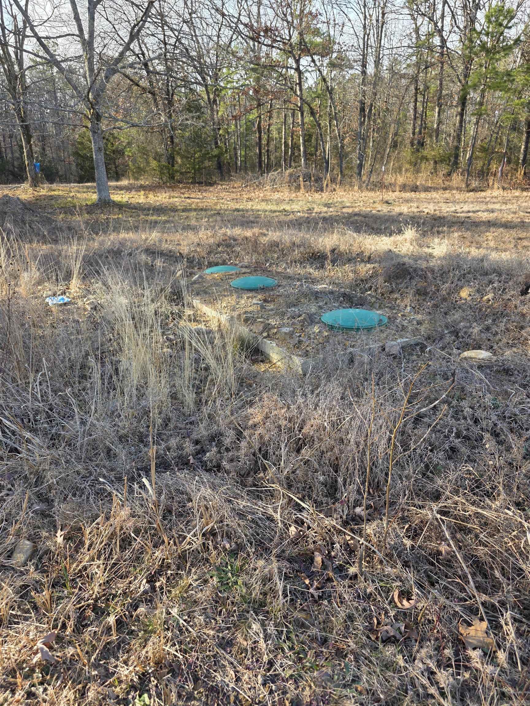 Small acreage very close to Lake Wilhelmina and the developing bike trail network in the Mena area. Septic system is reportedly already on the property, with water available across Blissful Lane, per seller. The tract is mostly level with some cleared area, offering potential sites for a future homesite or recreational use