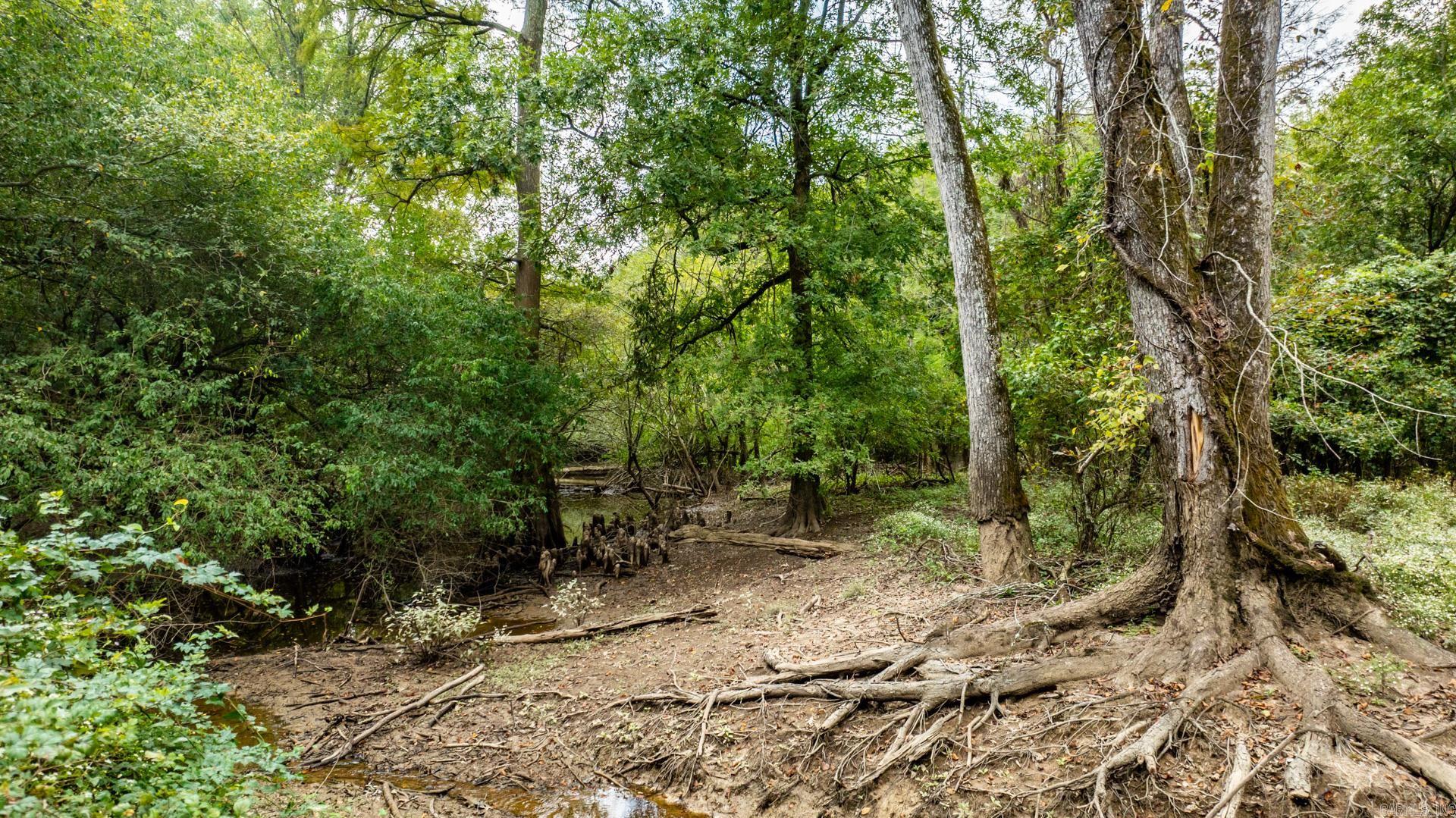 Lonoke - Land