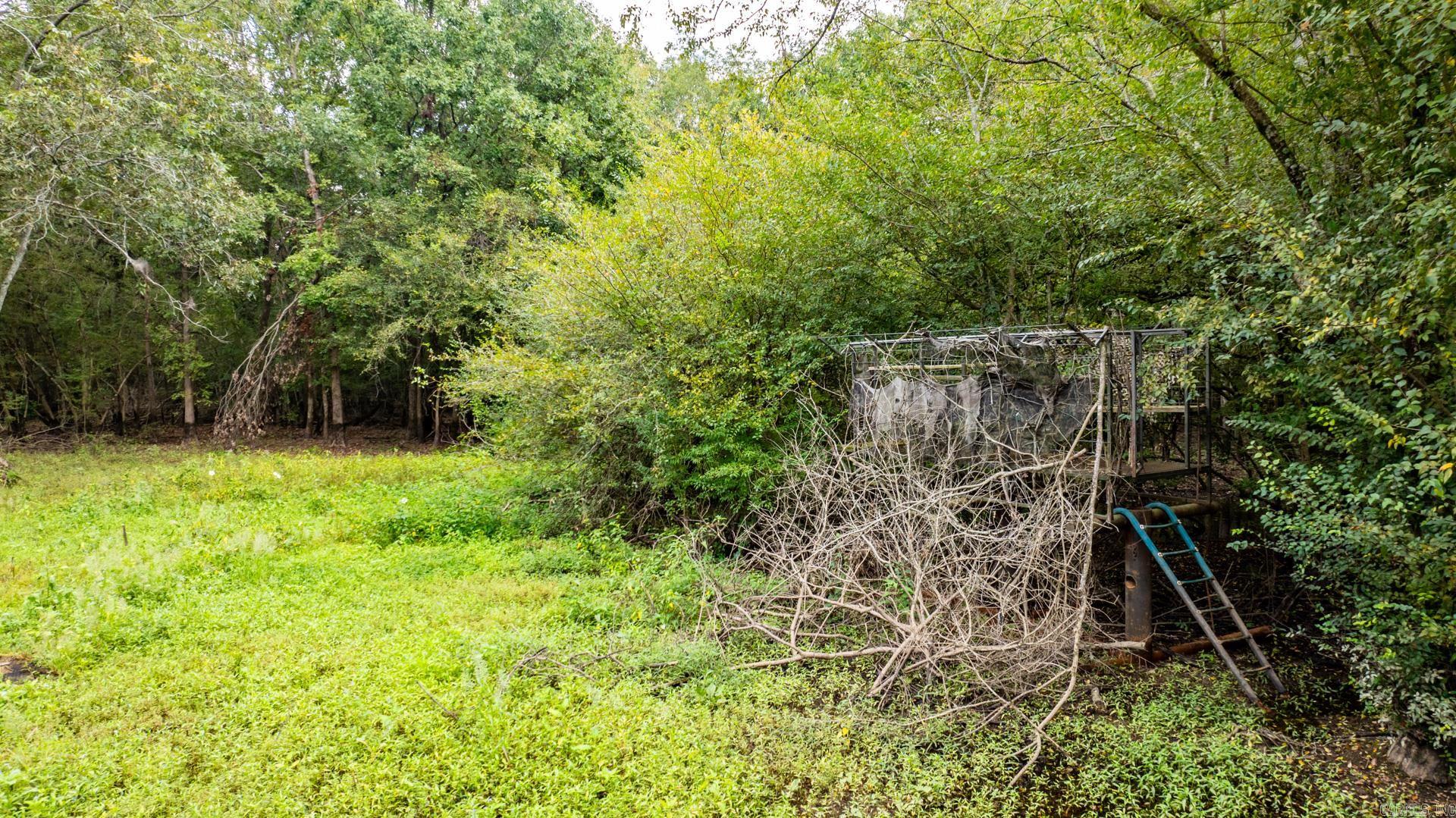 Lonoke - Land