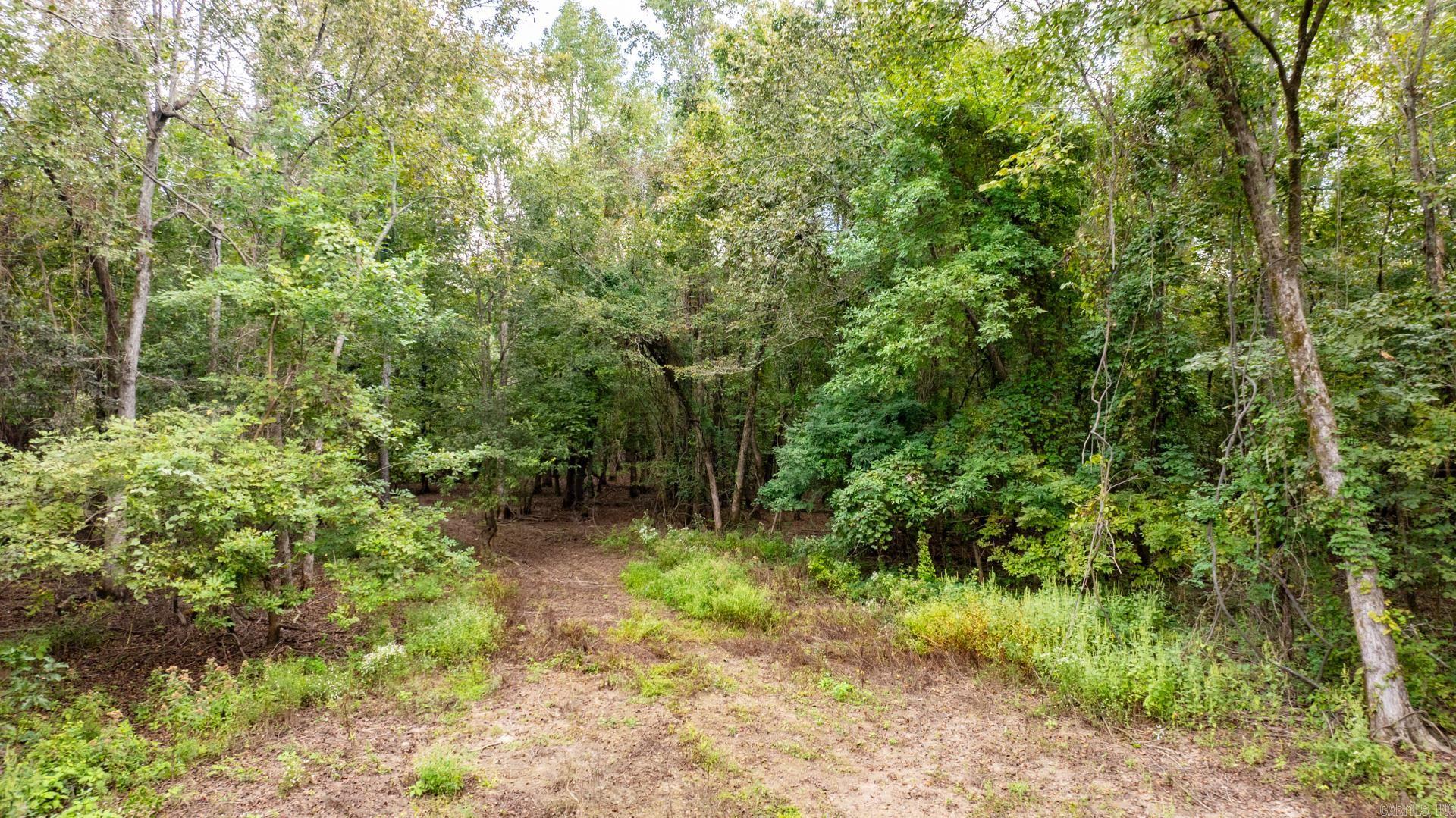 Lonoke - Land