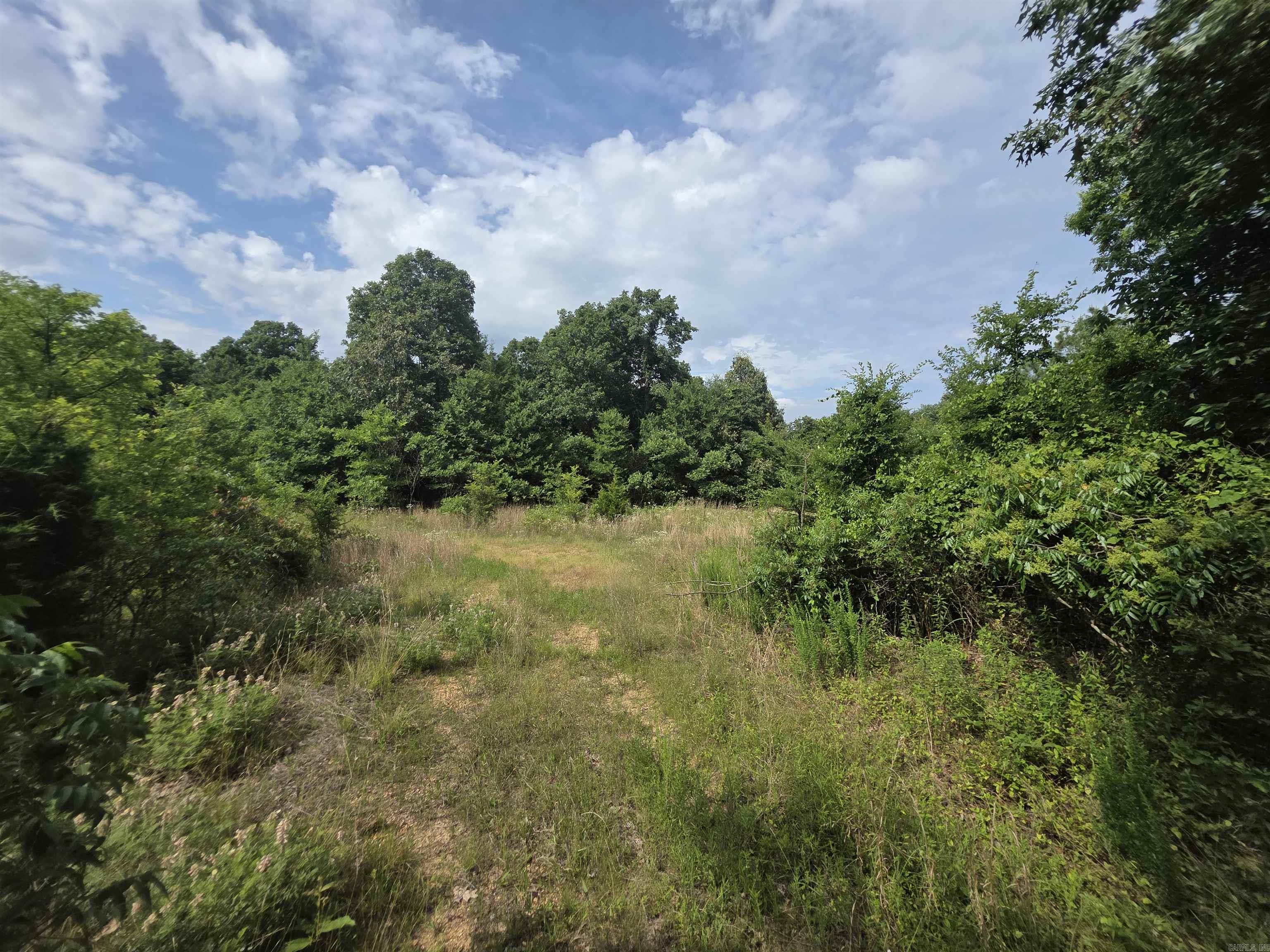 616 County Road 417 Rector.  Looking to build your dream home or just own your own hunting paradise this is it!!!! With just over 15 acres of timber, fenced on three sides and gravel road frontage.  Own your part of the ridge today.  Utilities are on the property along with lots of wildlife.  If you enjoy nature, you will love this property.  Call today to make this your retreat!!!