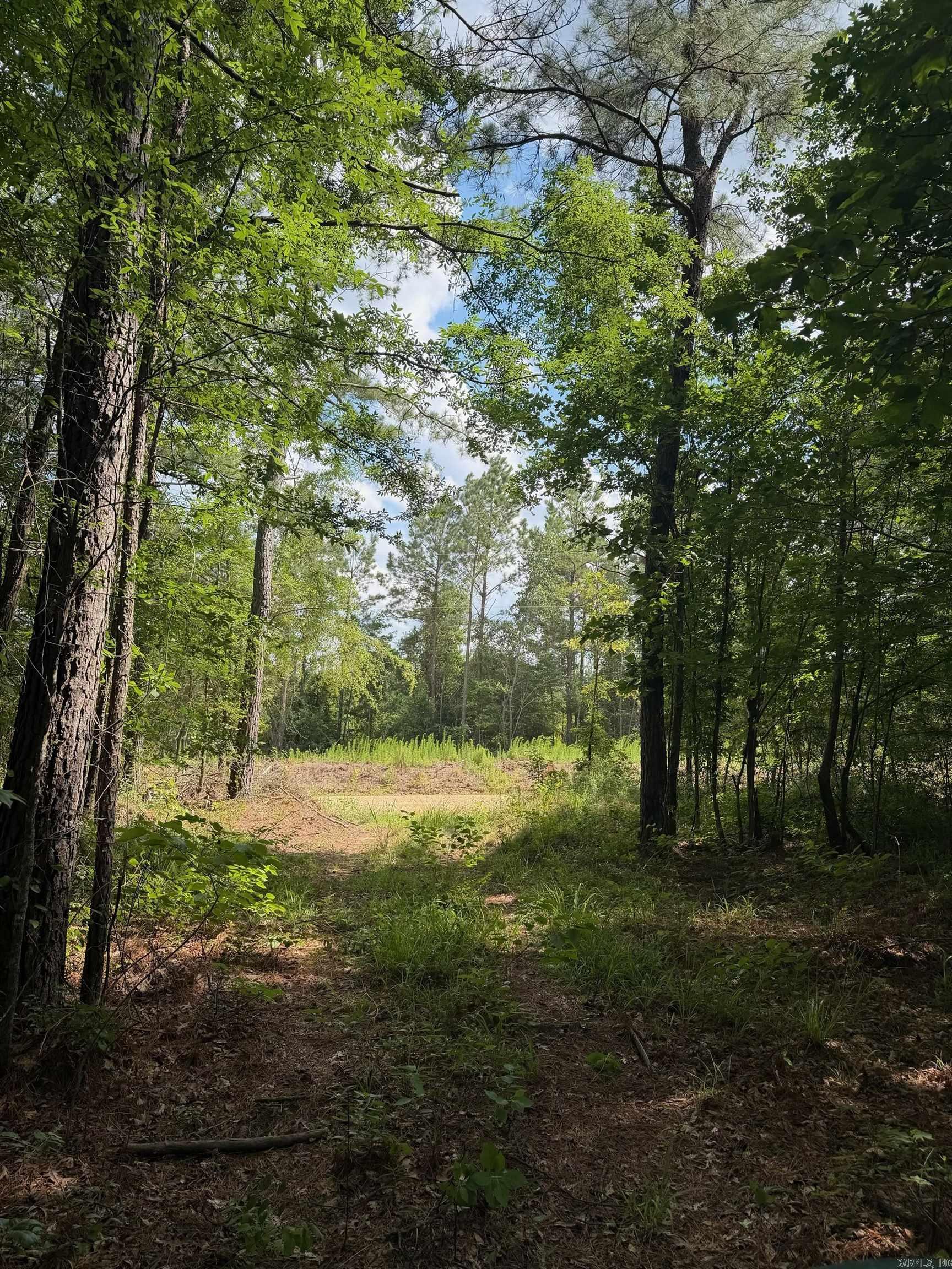 14.19  Acres of land Outside El Dorado Arkansas.   City water and Electric are available.  Buyer will need to install a septic tank  New survey on file will convey to the buyer Owner will finance this property. Call today for more details.