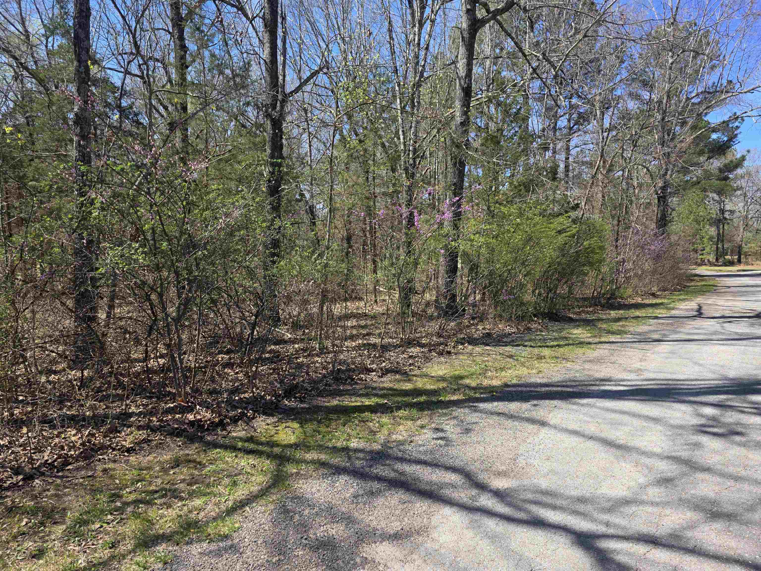 Nice very level lot. Lots of trees and lots of nature and wildlife. Located just on the Fulton County side of Cherokee Village. Come check this lot out, check out the view and see where you want to put your vacation home or your forever home. Retire here and fish 7 different lakes and golf 2 different 18-hole golf courses. Don't forget about the beautiful South Fork River that flows right through the Village. Shop in Old Hardy town and trout fish the Spring River. That's living the Cherokee Village lifestyle.