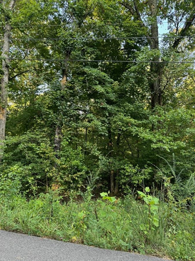 Sherwood Forrest - Land