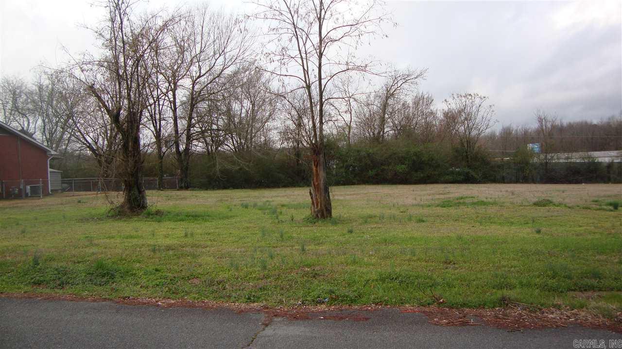 NICE LEVEL LOT. WILL MAKE A GREAT PLACE TO BUILD A HOME.