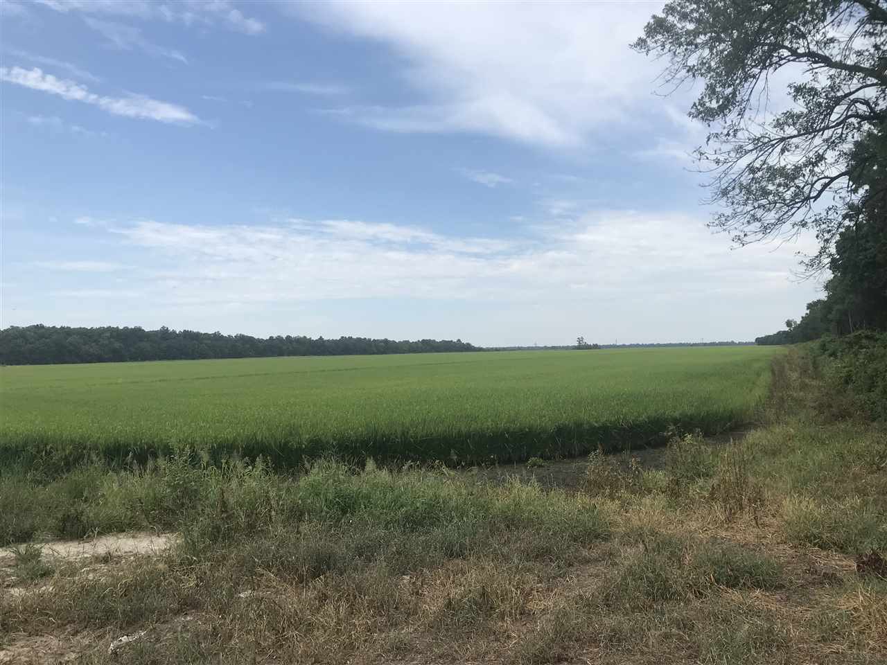 Metes & Bounds - Farm