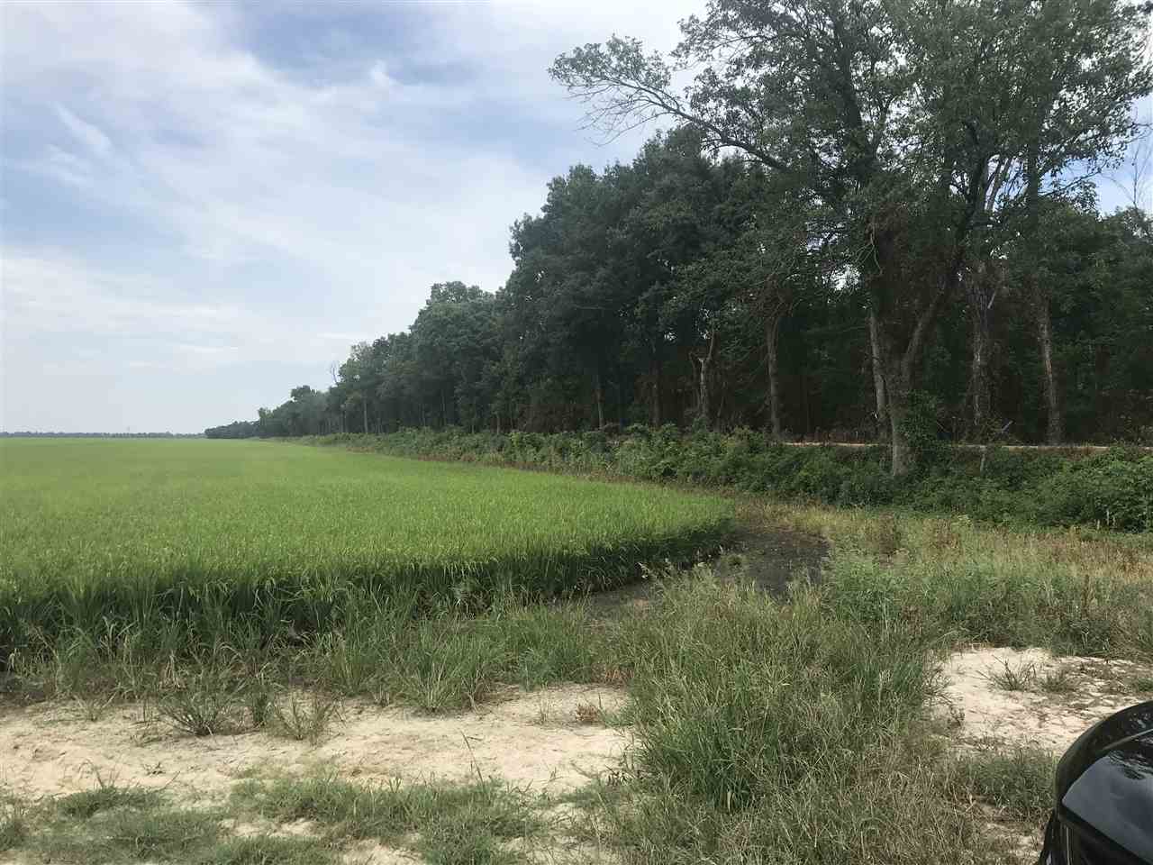 Metes & Bounds - Farm