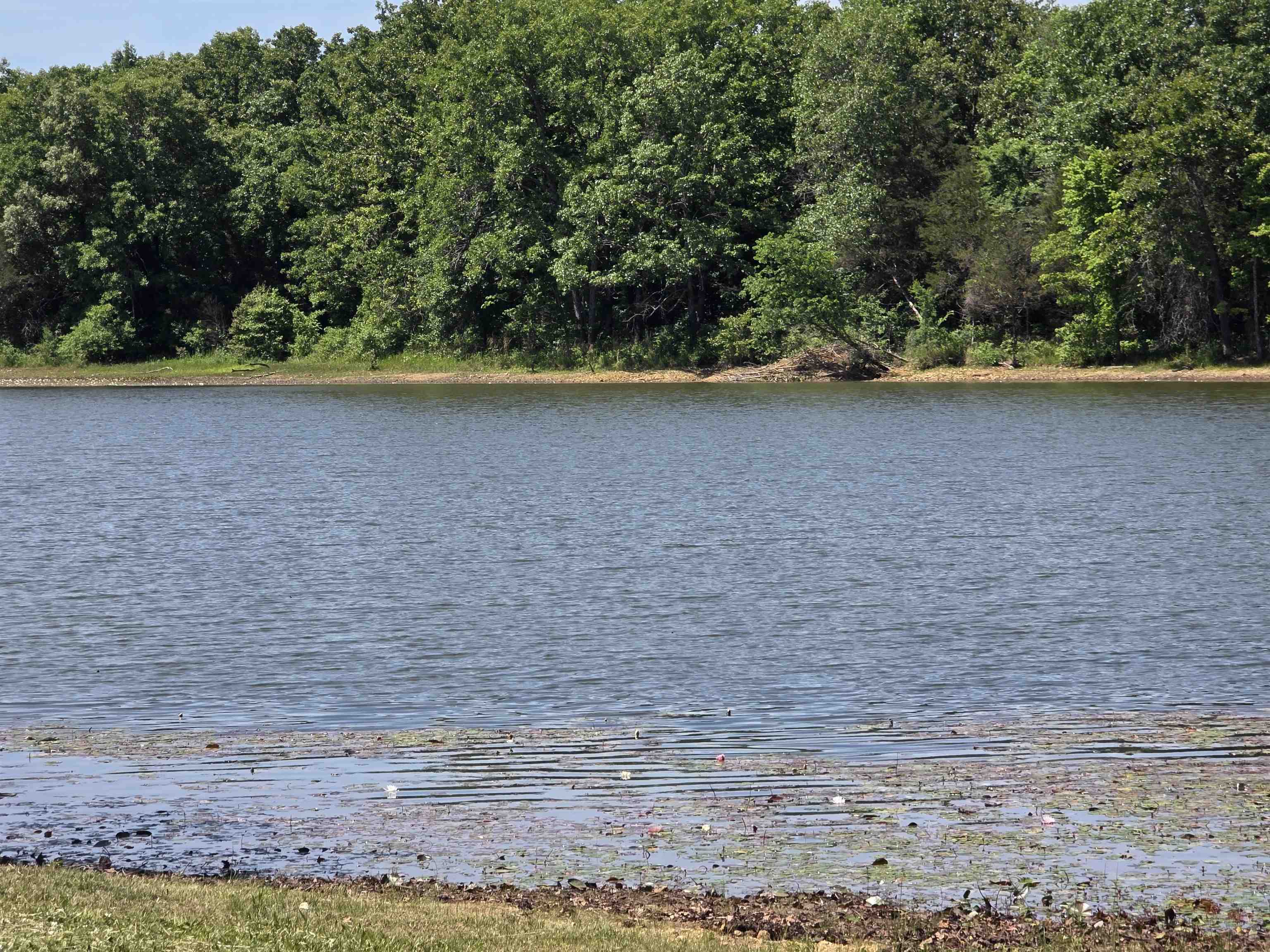 Lakefront Lot with outstanding views on North Lake in Horseshoe Bend. North Lake is a hidden little lake and has got some good fishing. With all the wonderful lily pads you can perfect your bass fishing technique. This is a wooded lot with one close neighbor. It is in the rare Fulton County part of Horseshoe Bend. This is a great opportunity to pick up a lakefront lot at a good price. Come take a look at the property and pick out your building spot for your vacation home or retirement home. Horseshoe Bend has several other lakes including Crown Lake for Skiing and tubing. There is also the 18-hole Turkey Mountain golf course as well as a 9-hole course to work on your short game. The Strawberry River and the Southfork River are both nearby as well. Come check this lot out soon.