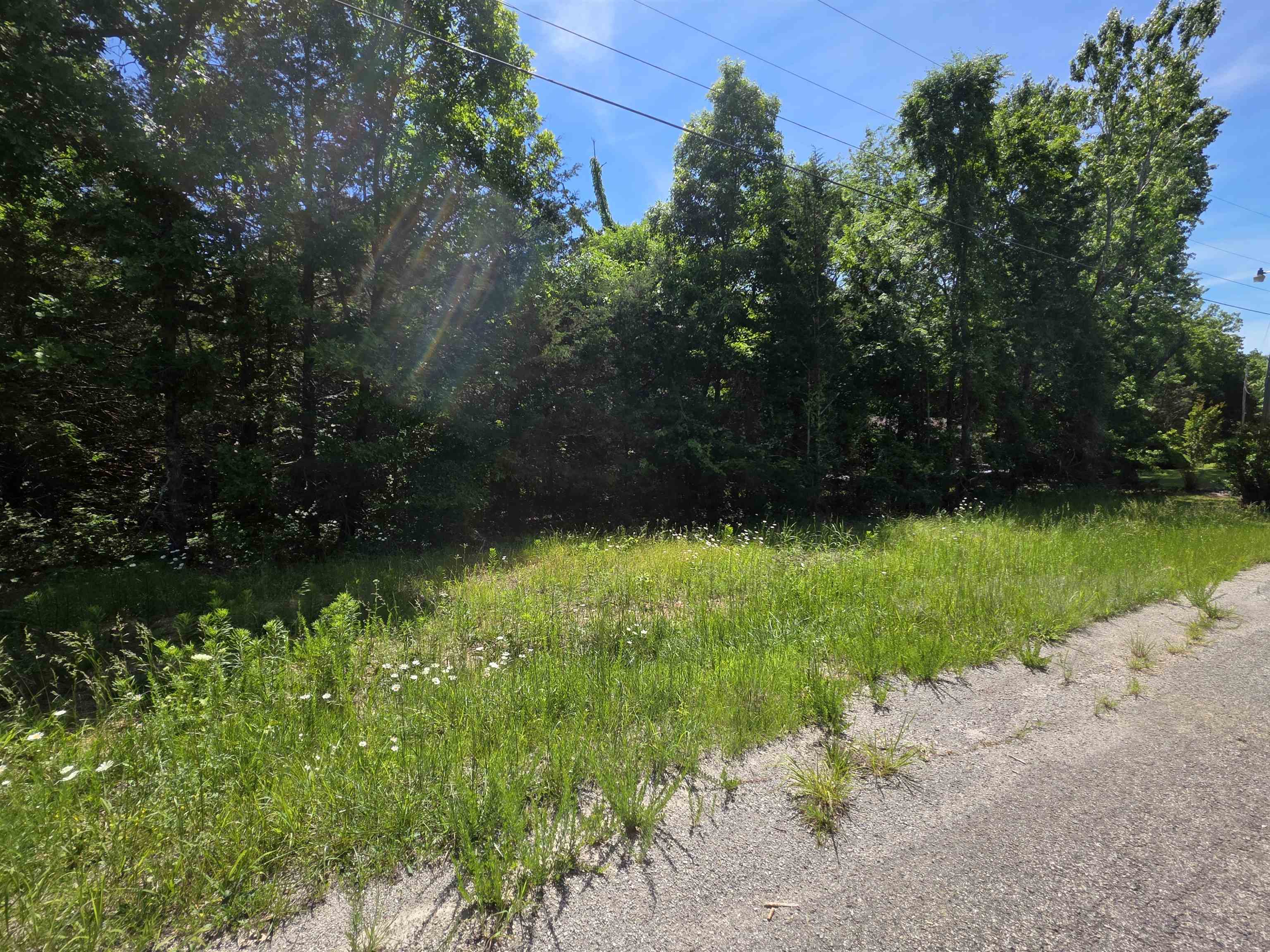 Horseshoe Bend Estates - Land