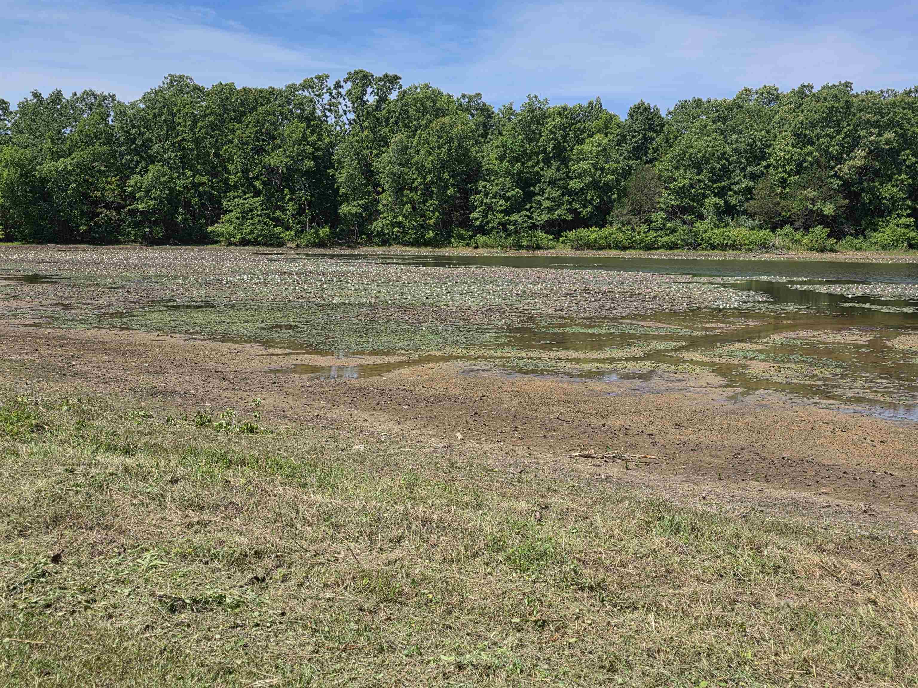 Horseshoe Bend Estates - Land