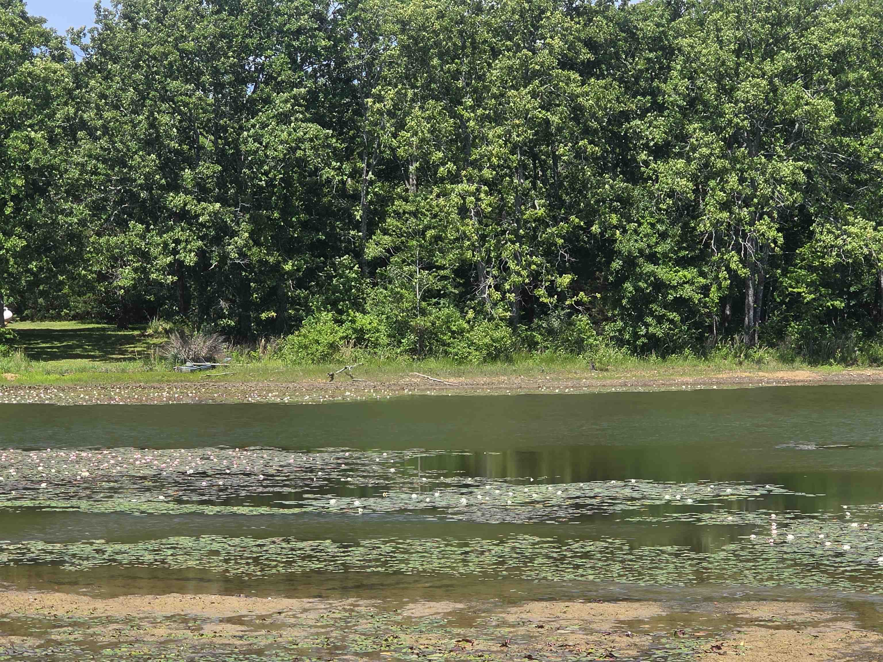 Horseshoe Bend Estates - Land