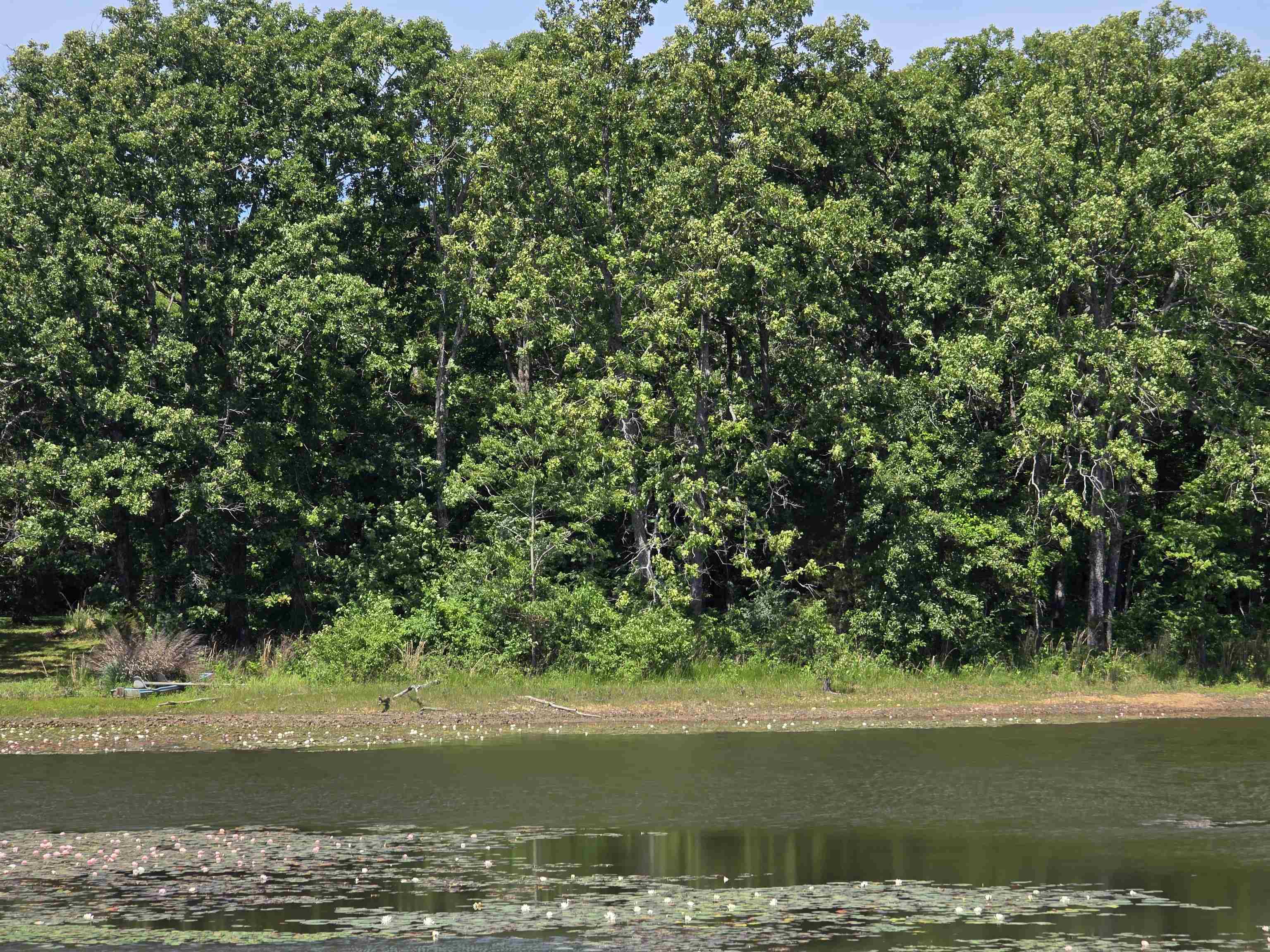 Horseshoe Bend Estates - Land