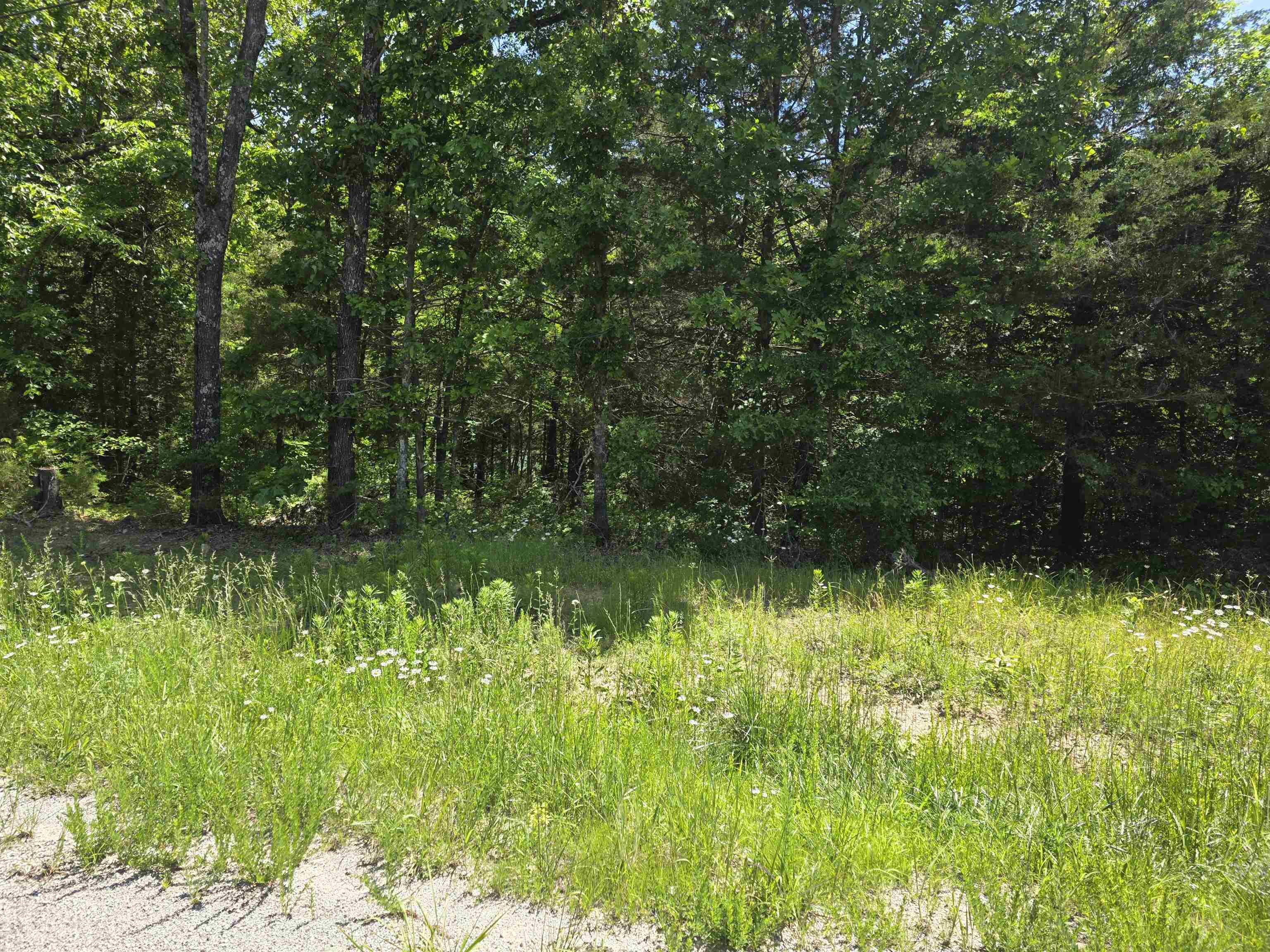 Horseshoe Bend Estates - Land