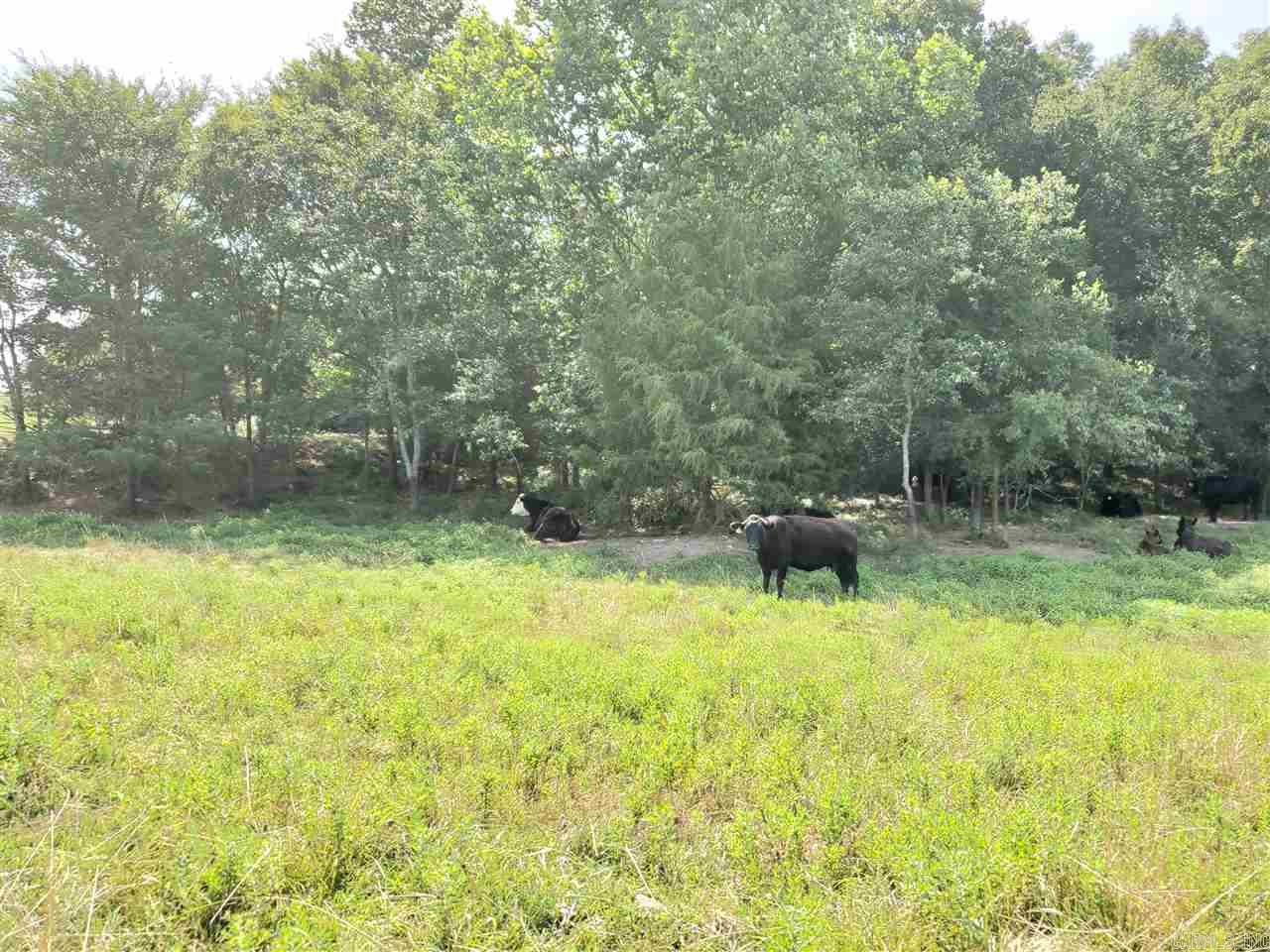 Oxford - Farm
