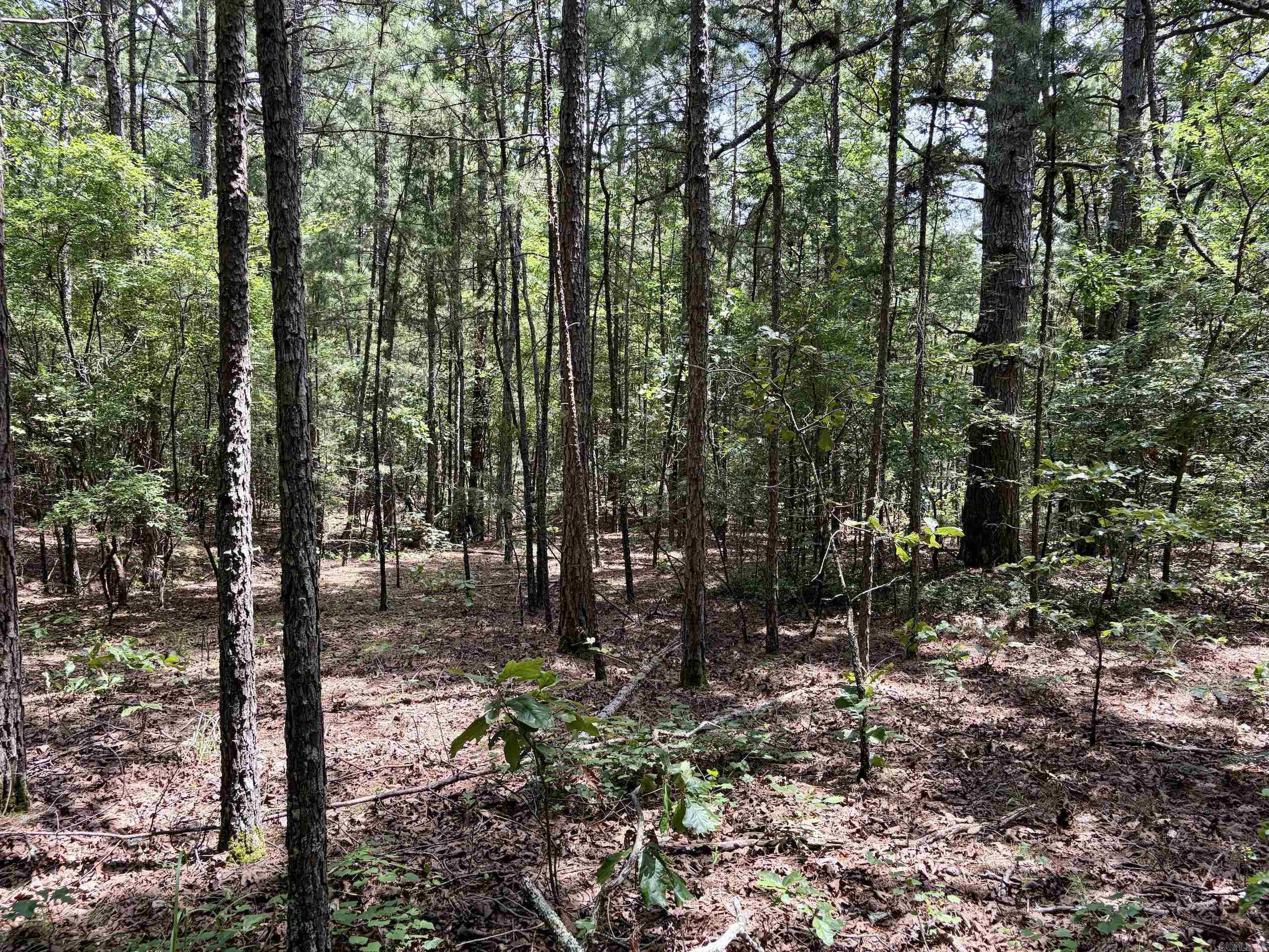 Not in Subdivision - Land