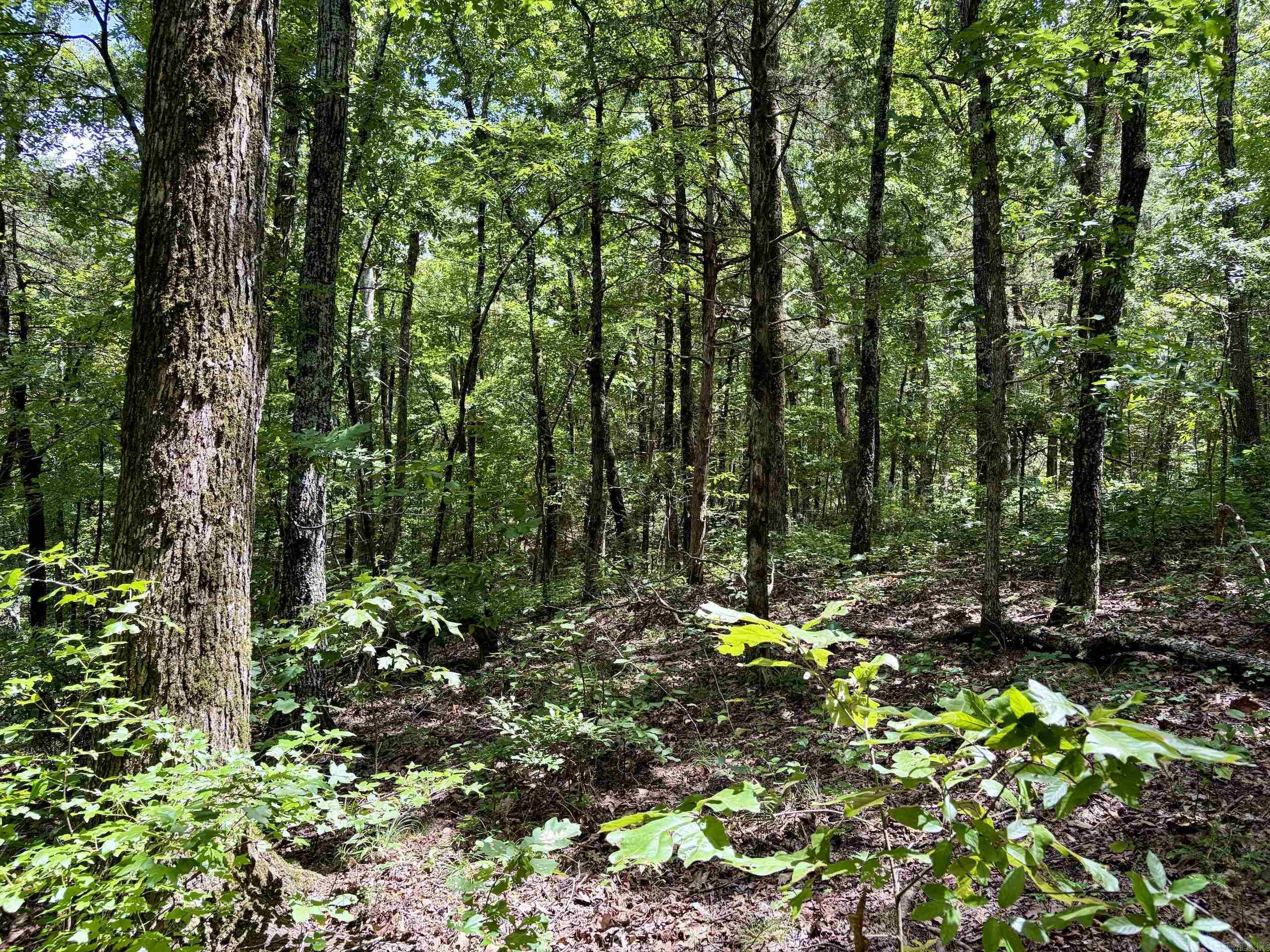 Not in Subdivision - Land