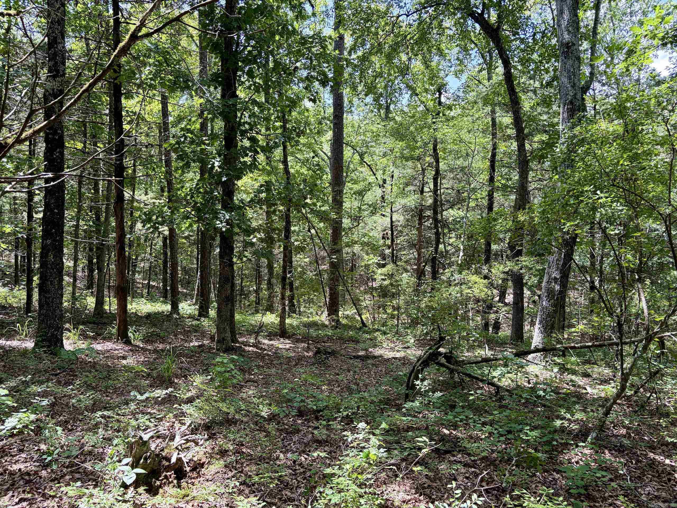 Not in Subdivision - Land
