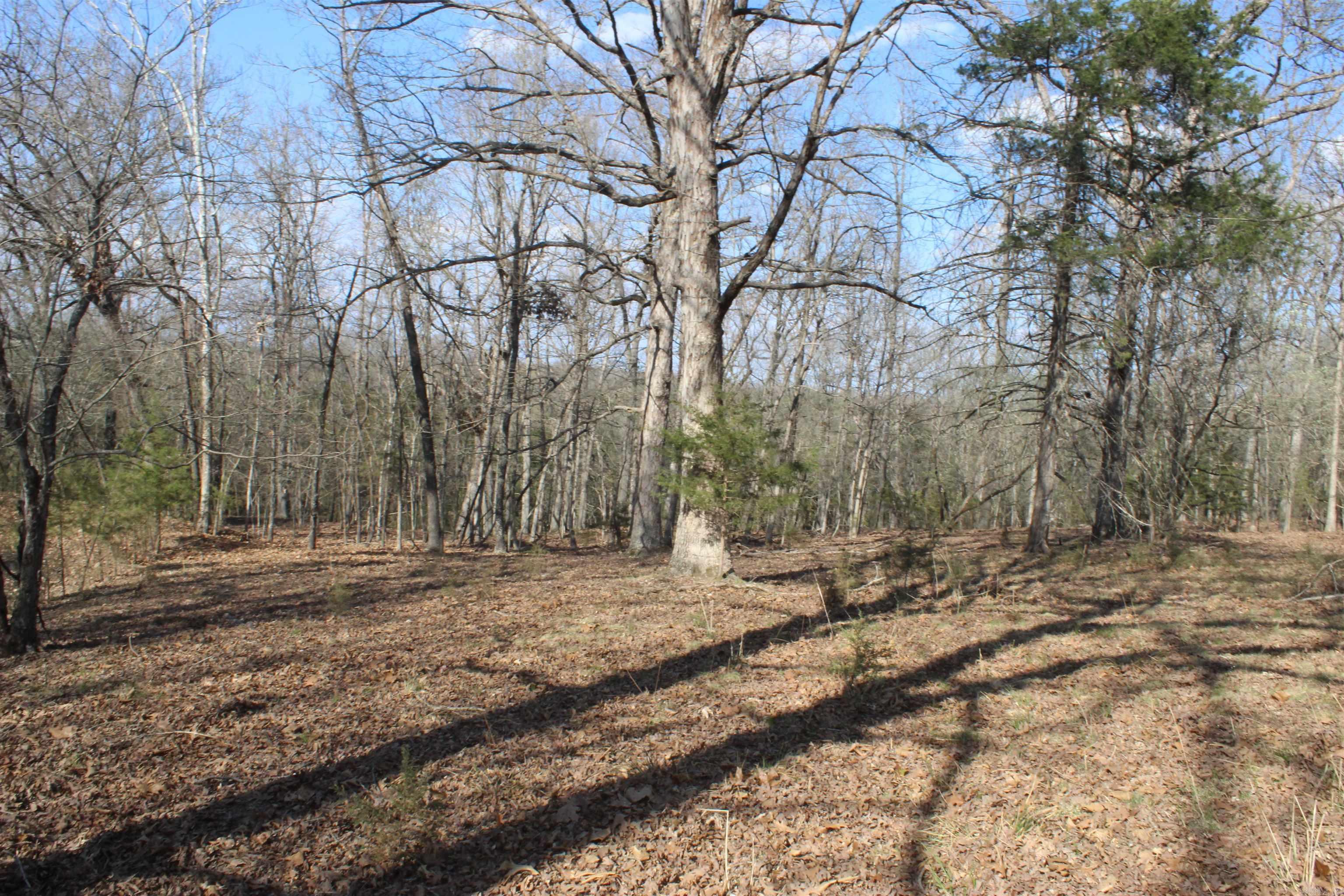 Hill Crest - Land