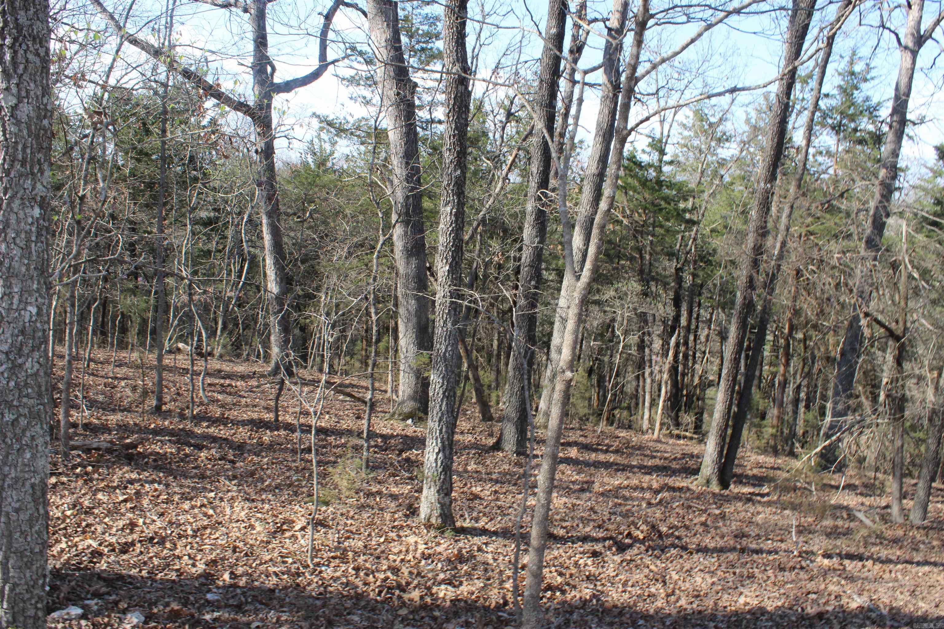 Hill Crest - Land