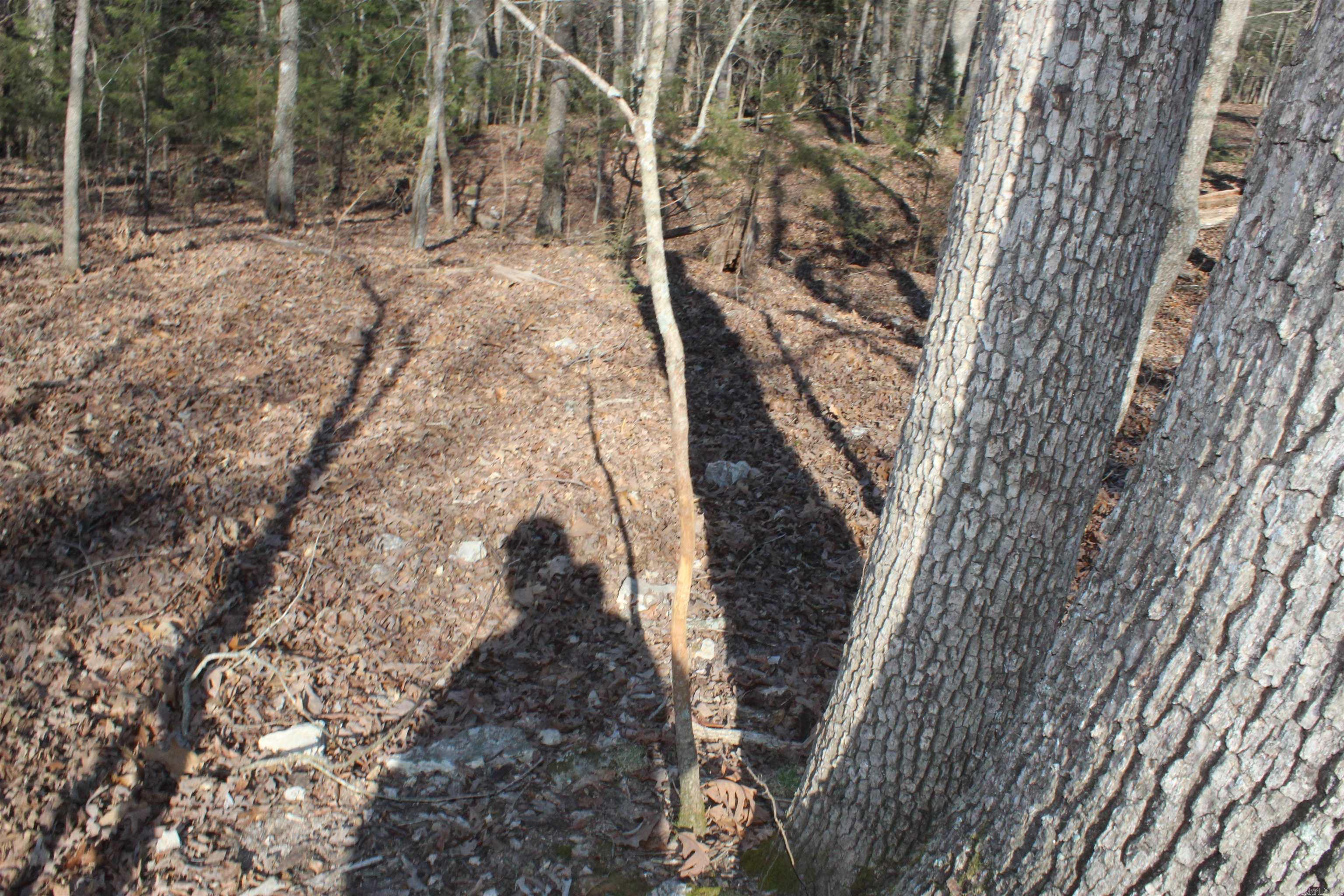 Hill Crest - Land