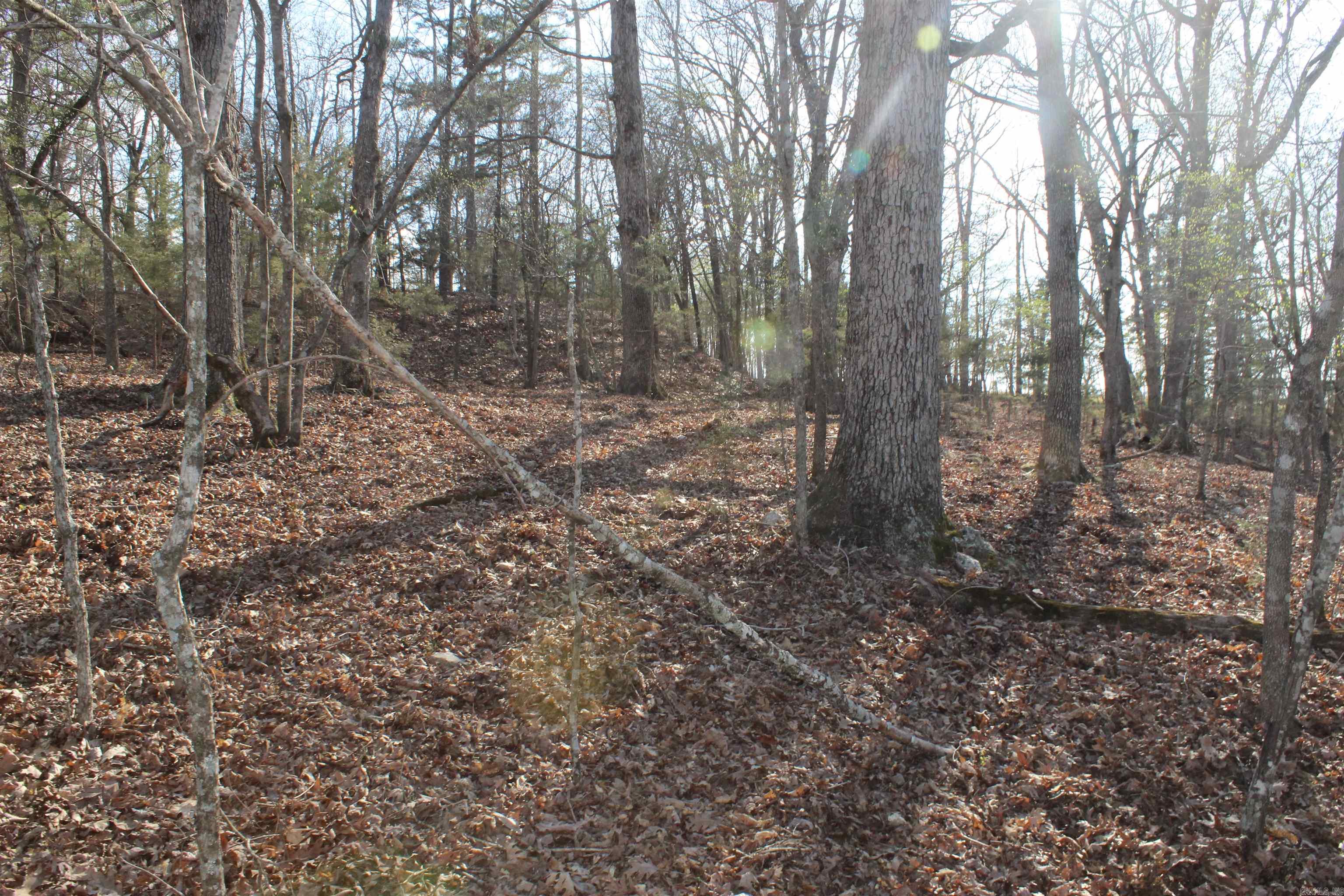 Hill Crest - Land