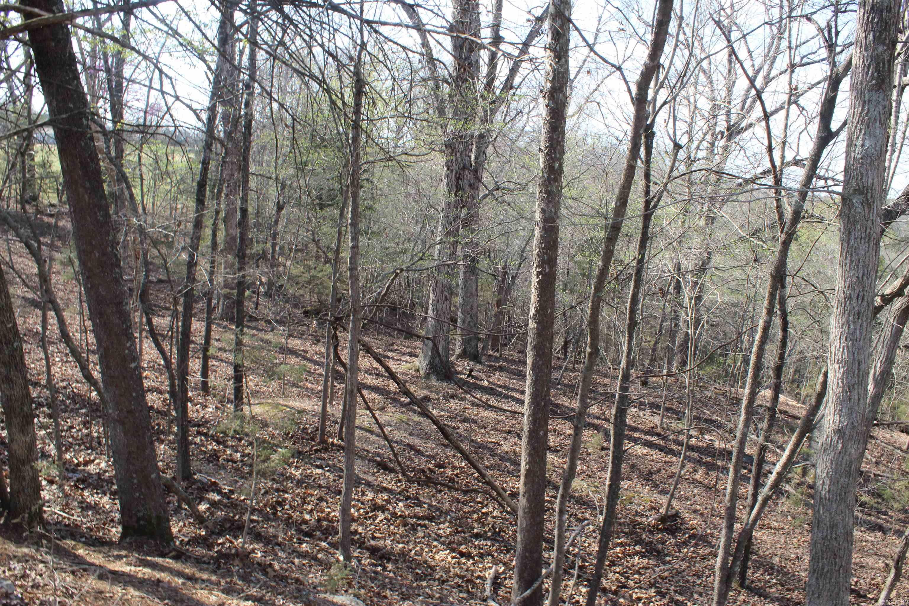 Hill Crest - Land