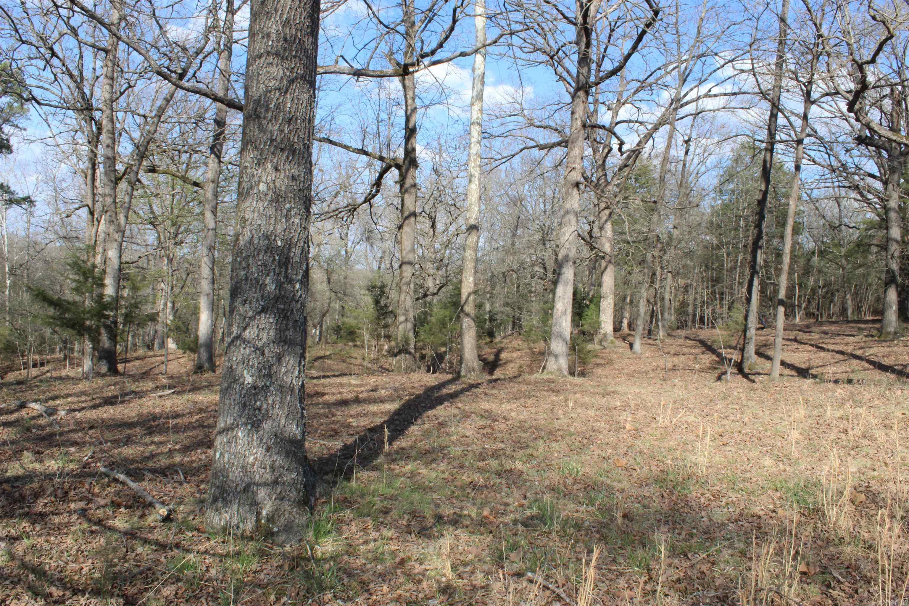 Hill Crest - Land