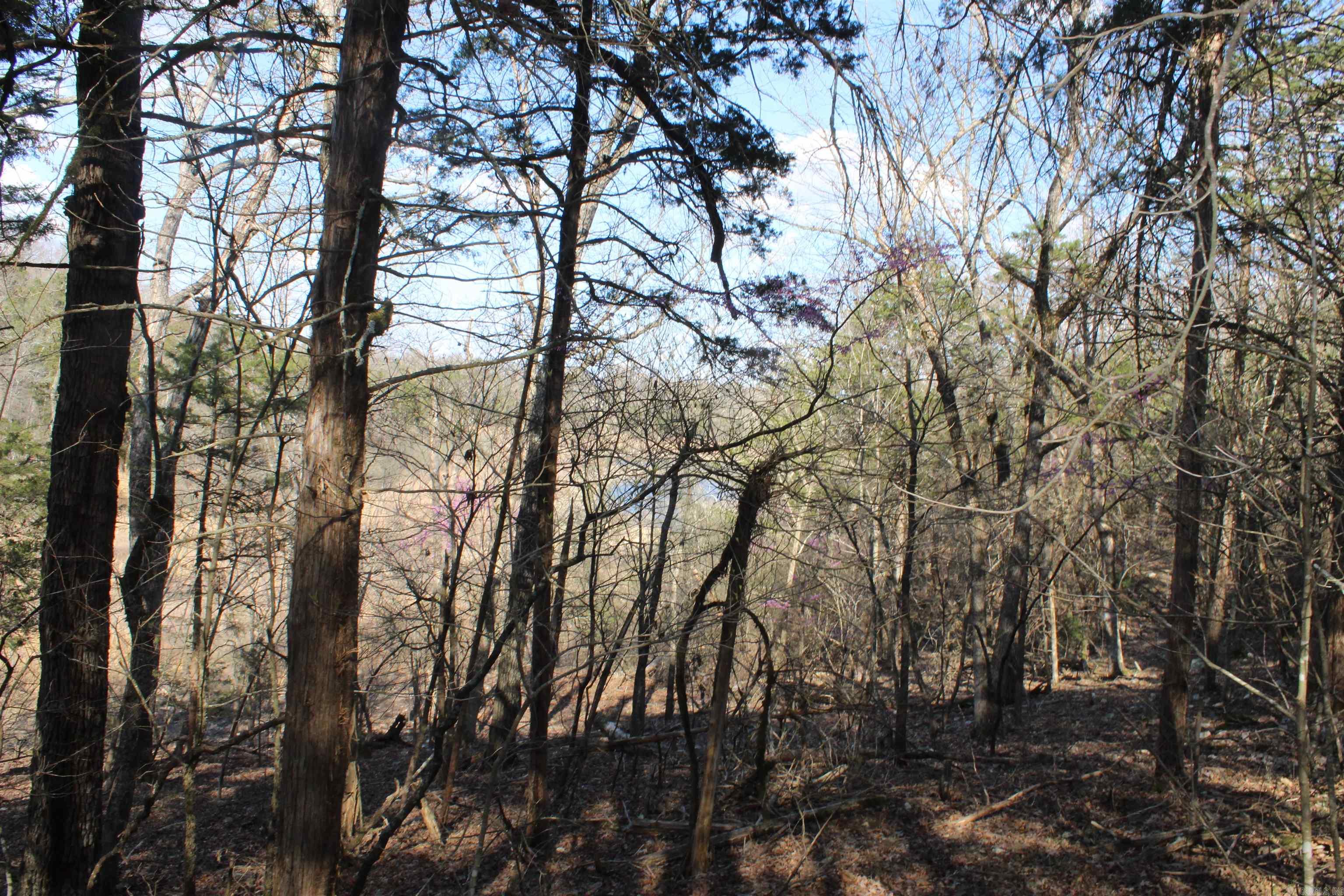 Hill Crest - Land