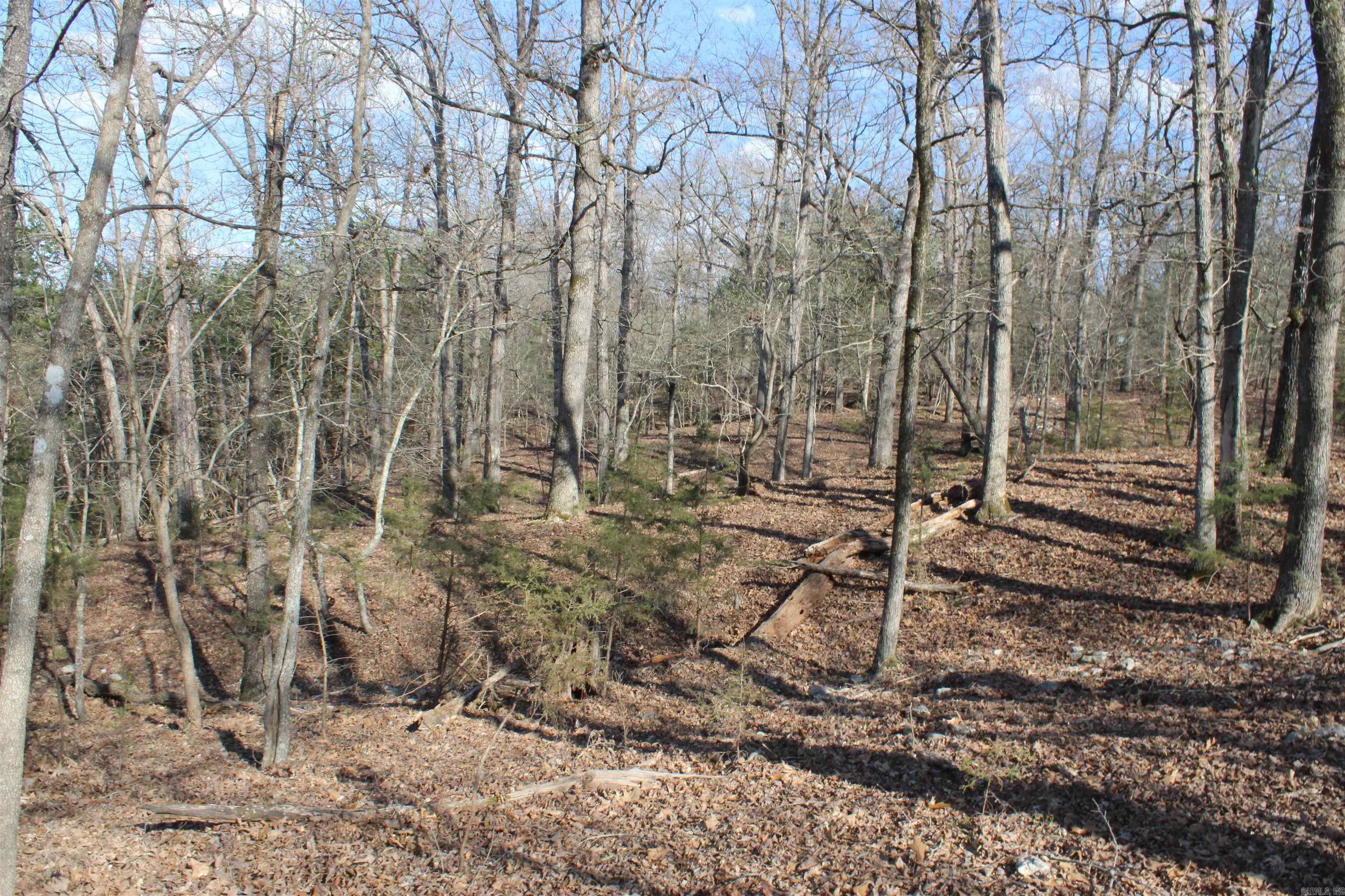 Hill Crest - Land