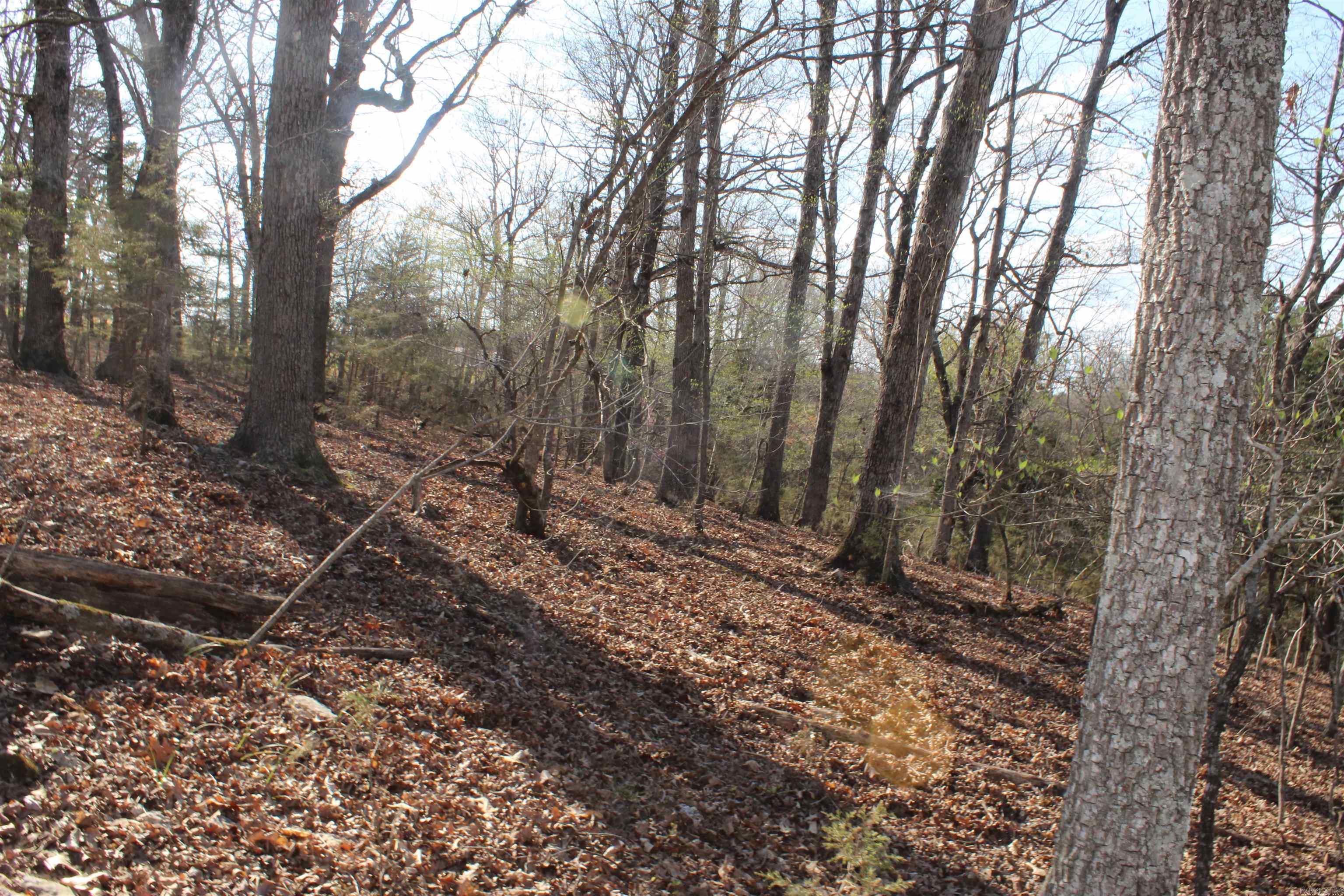 Hill Crest - Land