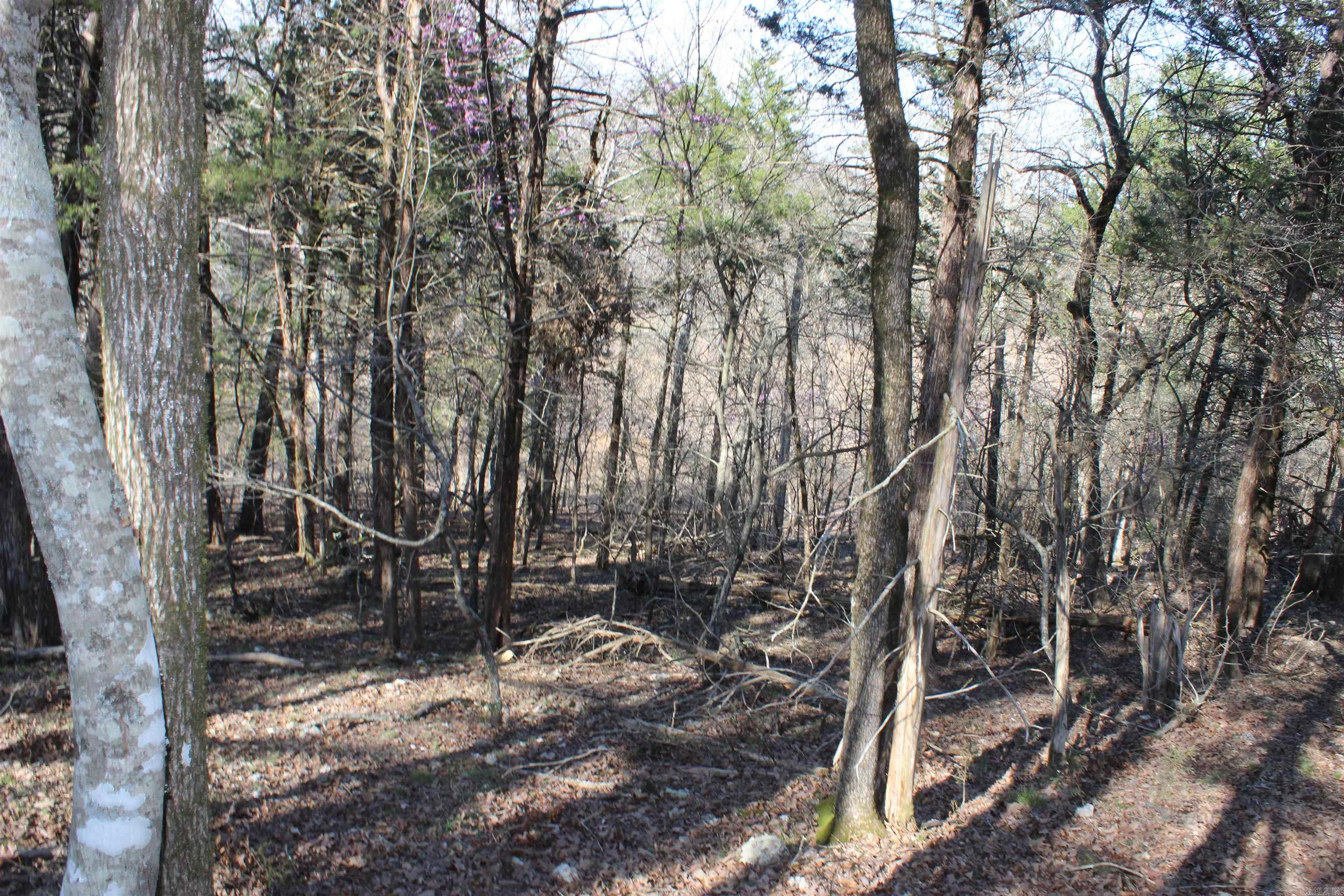 Hill Crest - Land