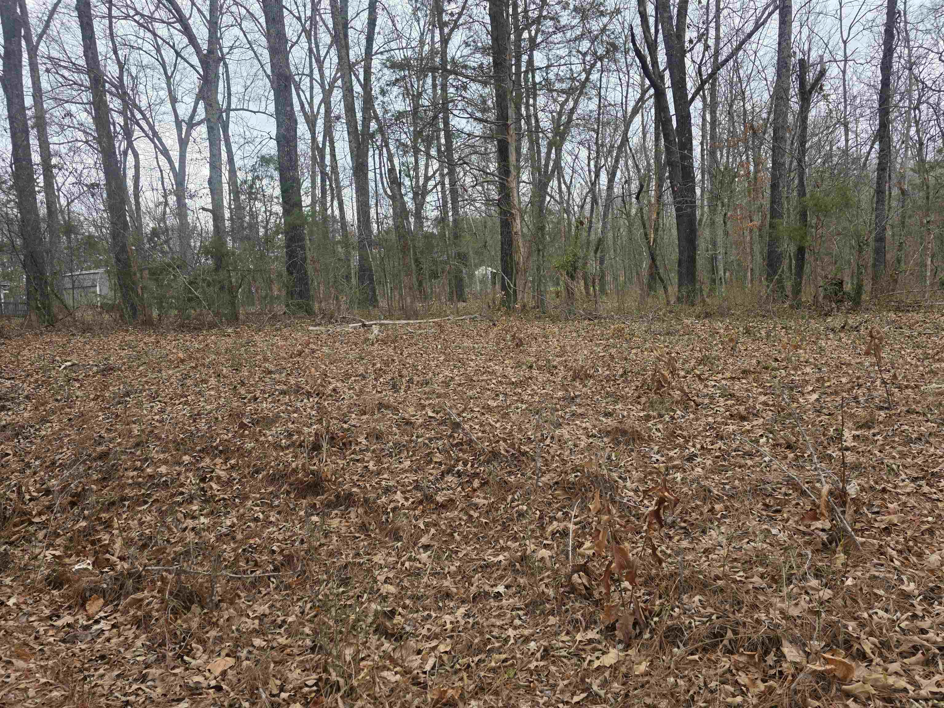 Great Investment opportunity. 22 Lots in Beautiful Cherokee Village, Arkansas. Some are individual lots and some are grouped right next to each other. 3 lot package, 4 lot package or even a 5-lot package available. Take your pick. Look over the photos and choose which ones you want to buy or just buy them all and sell the ones you don't want. Pick out your favorite one to build your forever home on. Pick up a couple for family members. Invest in the future. Get the best ones before they are gone. Don't forget that with ownership of property in Cherokee Village you gain access to all the village amenities. Like access to 7 Lakes, 2 Golf courses. The Thunderbird center, mini golf and swimming pool and the beautiful Southfork River
