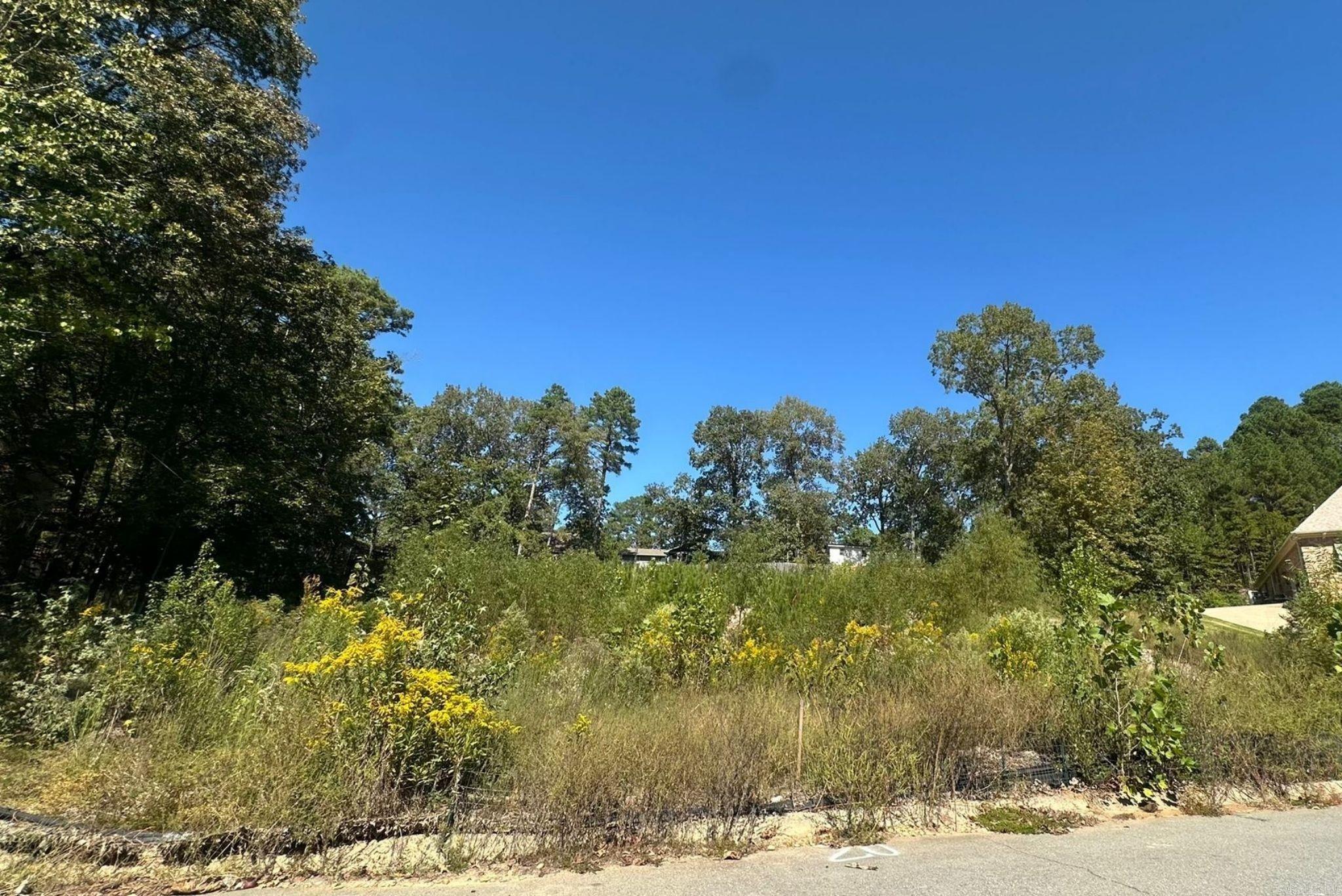 Otter Creek - Land