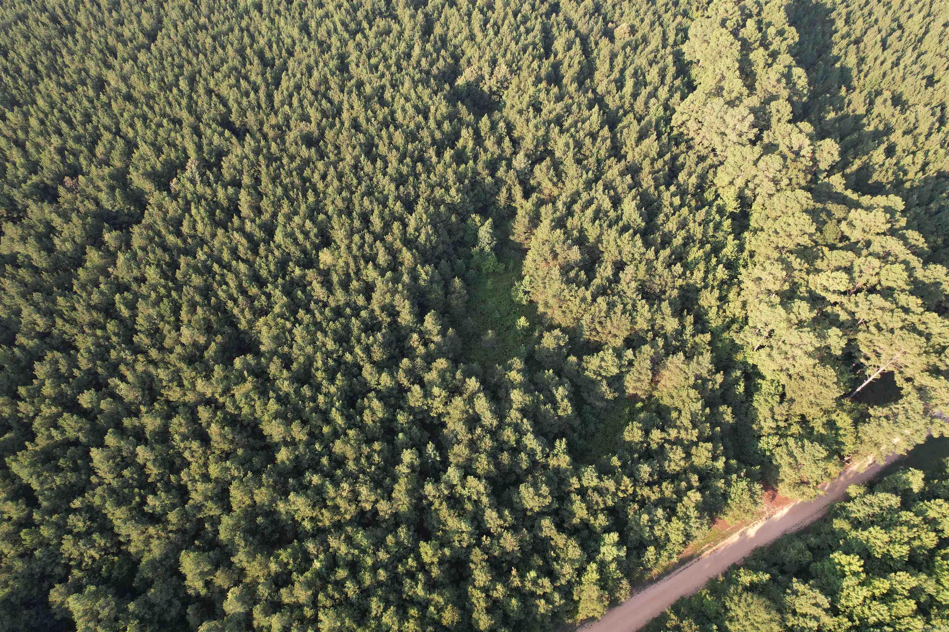 The Bradley Road 130 Tract is located in Bradley County, Arkansas less than a mile south of Banks.  Access to the property great from Bradley Road 130, a county-maintained gravel road. There are rural utilities along the county road. About 36 acres is planted loblolly pine established in 2012. The remaining acreage is mixed hardwood pine associated with a small creek.   This tract provides abundant opportunities from a great timberland investment, an ideal place to hunt, and excellent place to build a house. Don’t miss out!! Check on the ‘Bradley Road 130 Tract’ today!  Contact the Neeley Team with United Country – Neeley Forestry Service, Inc