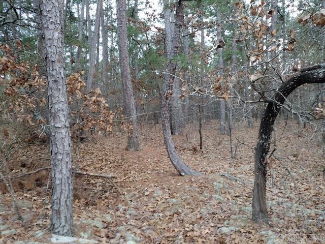 Nice flat building lot near the newly renovated Balboa golf course.  There is POA owned Common Property behind the lot, providing an additional buffer.  Quick, easy access from the Balboa Gate and Danville Road gate.    Lot 024 Block 04 Cresta Subdivision, Saline County, Hot Springs Village AR  $300 Buy-In fee for HSV POA for first time buyers.
