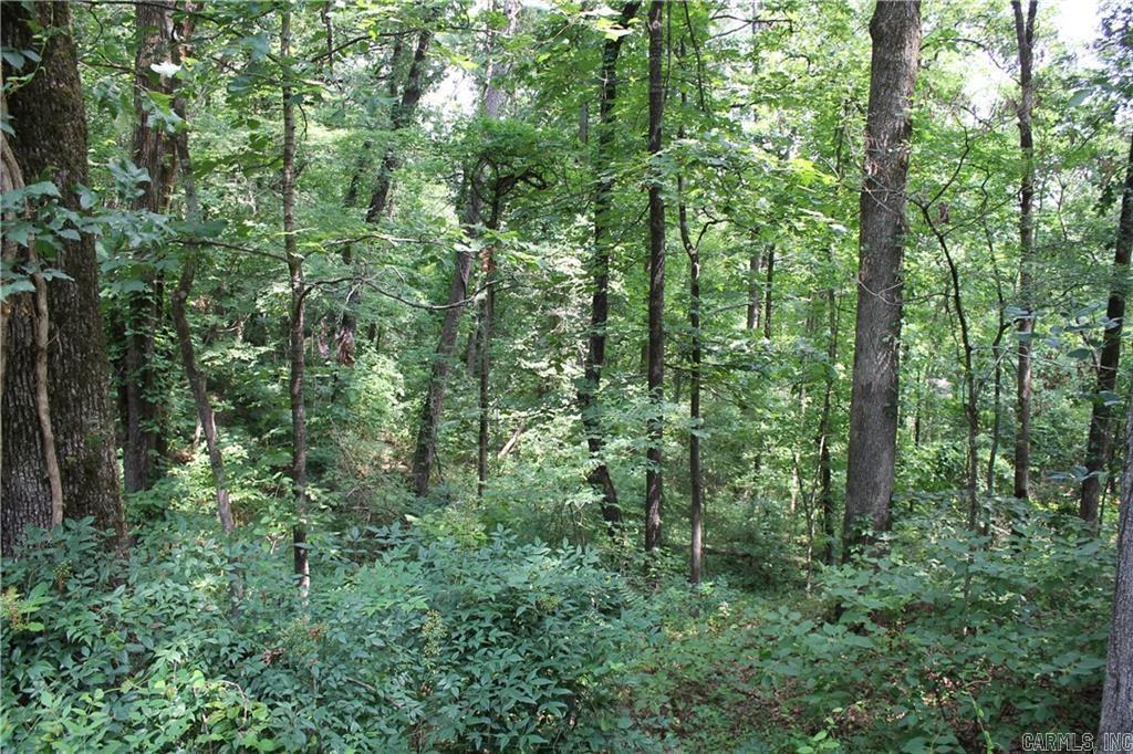 Craigwood Acres - Land