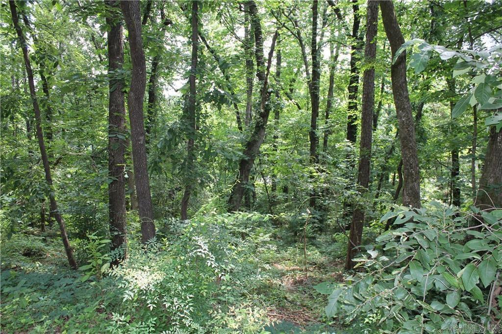 Craigwood Acres - Land