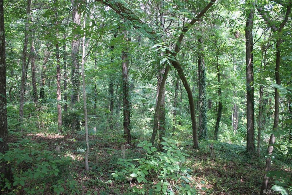 Craigwood Acres - Land