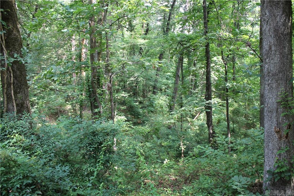 Craigwood Acres - Land